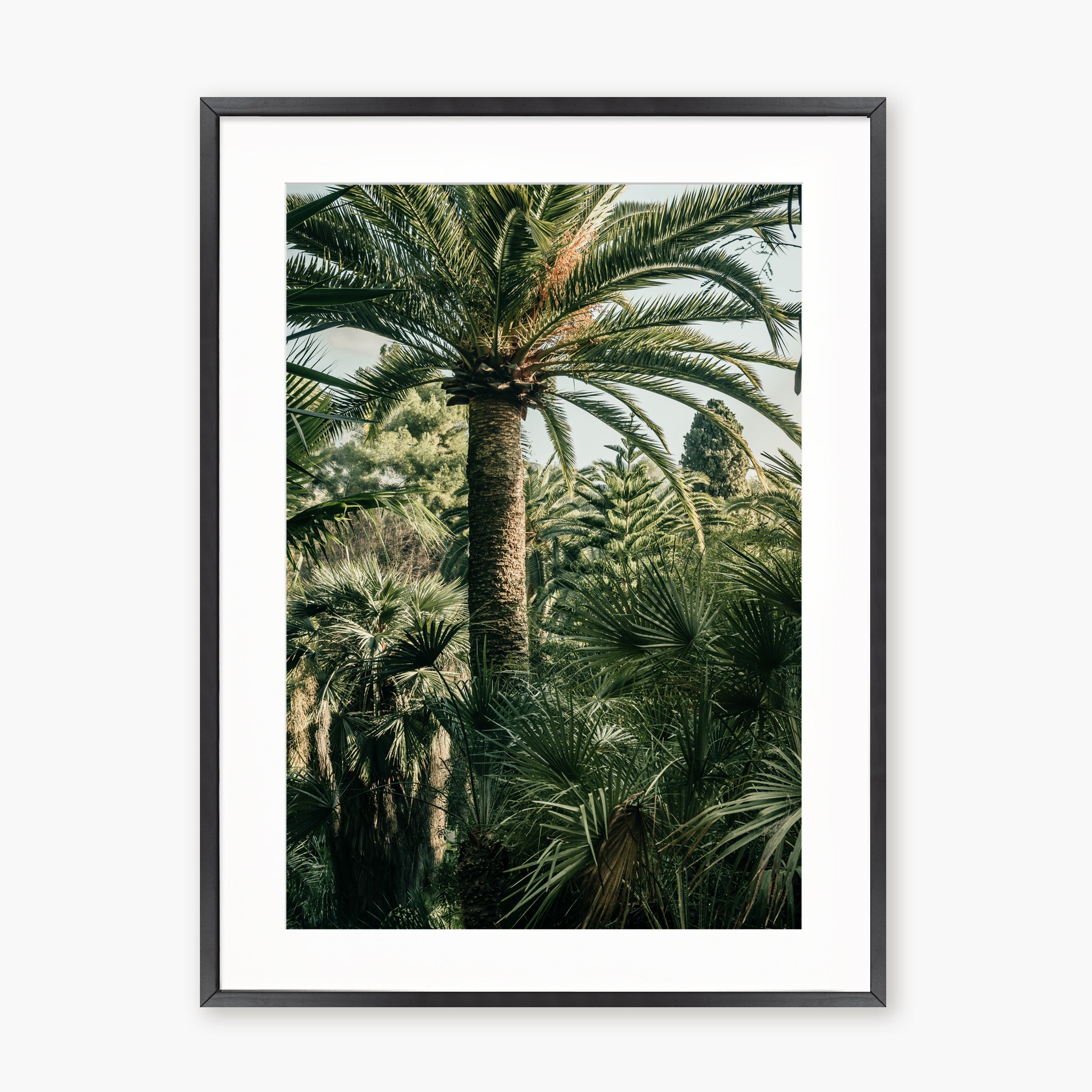 Jardin luxuriant