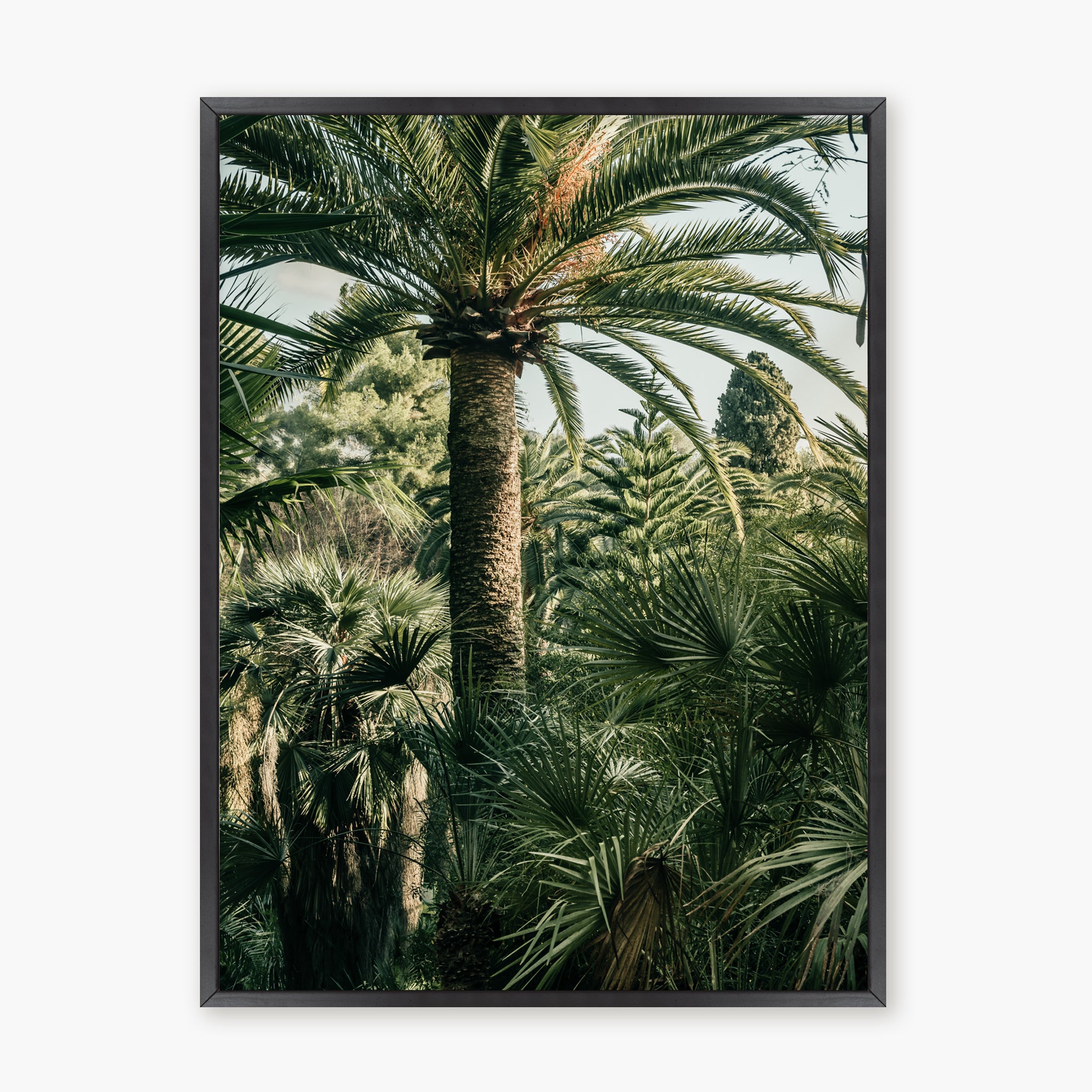 Jardin luxuriant