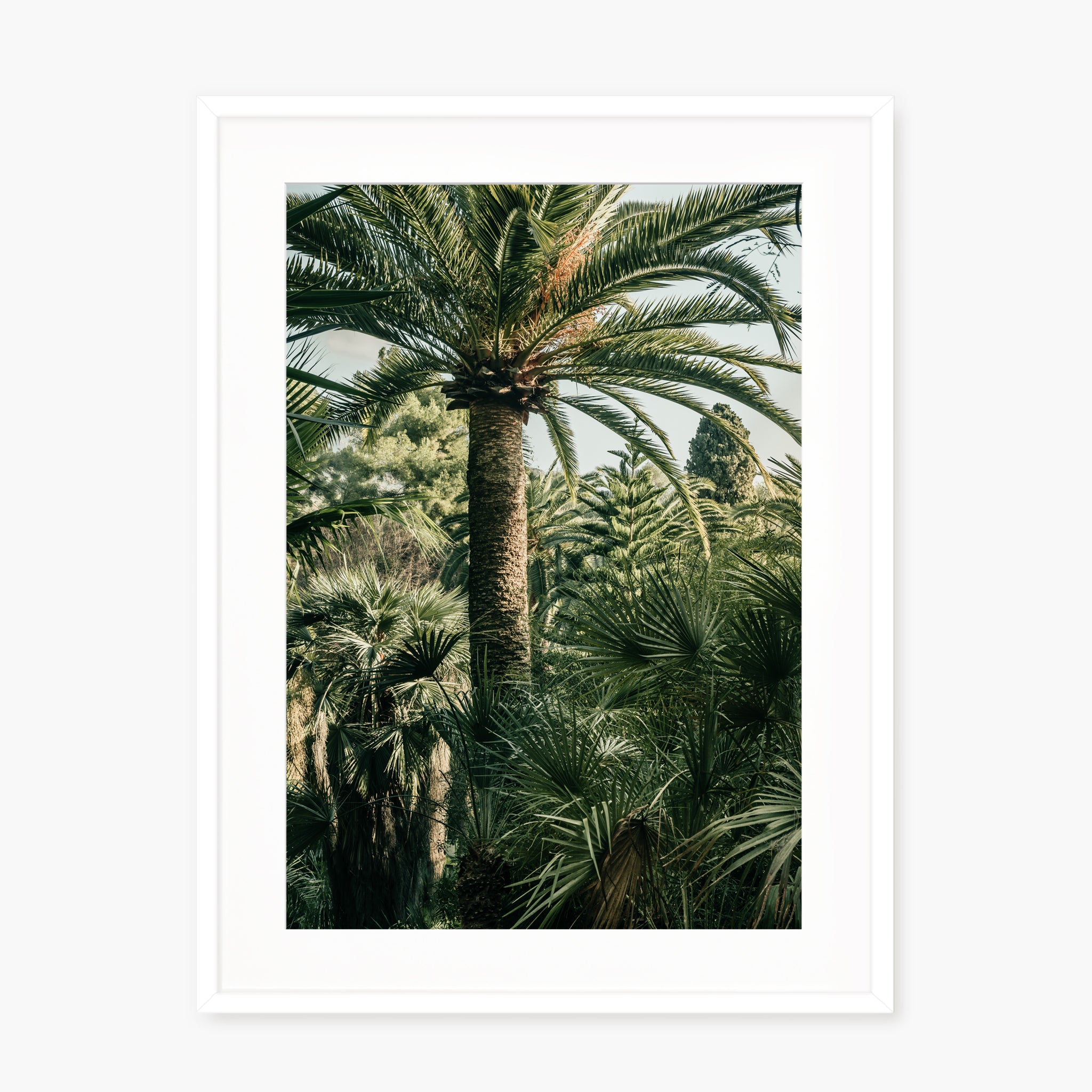 Jardin luxuriant
