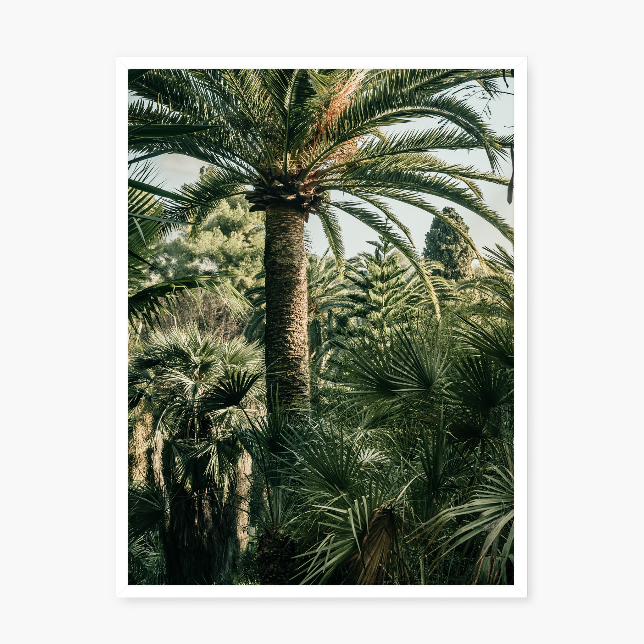 Jardin luxuriant