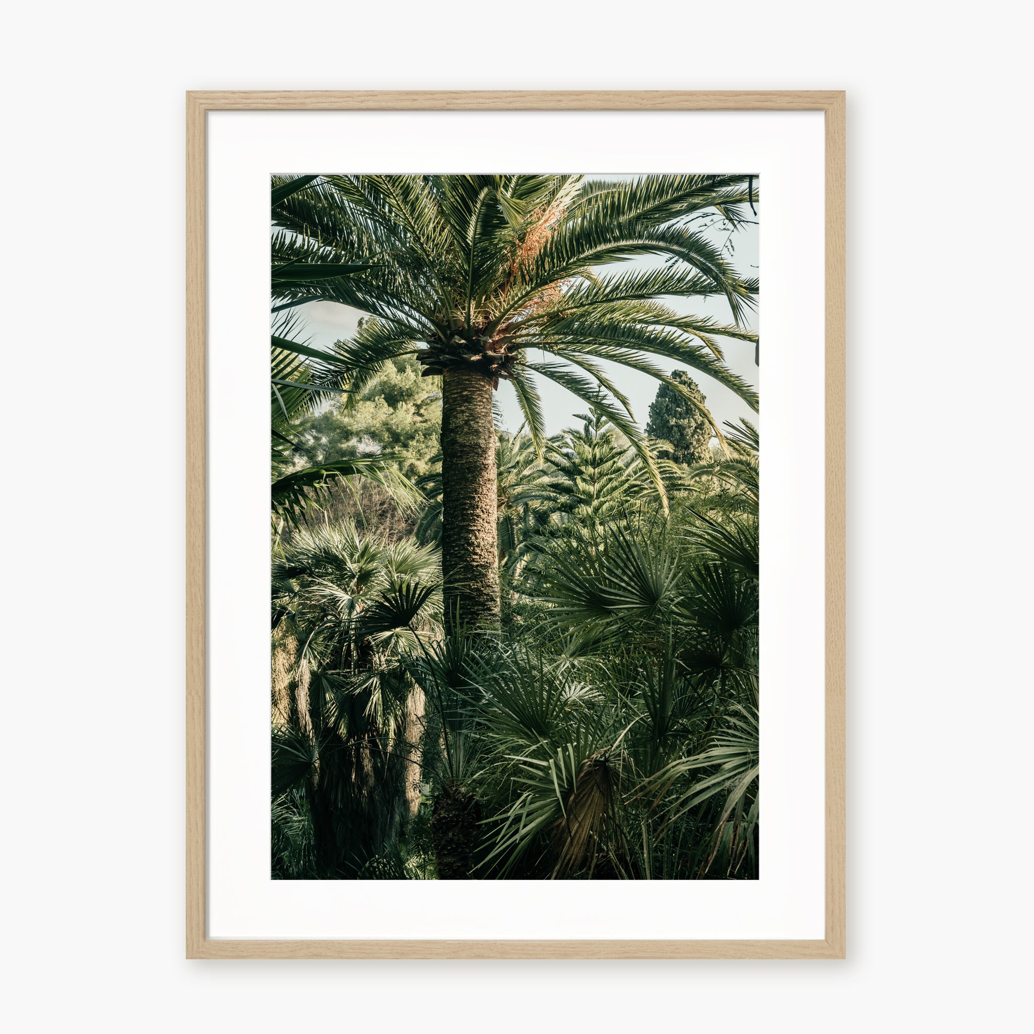 Jardin luxuriant