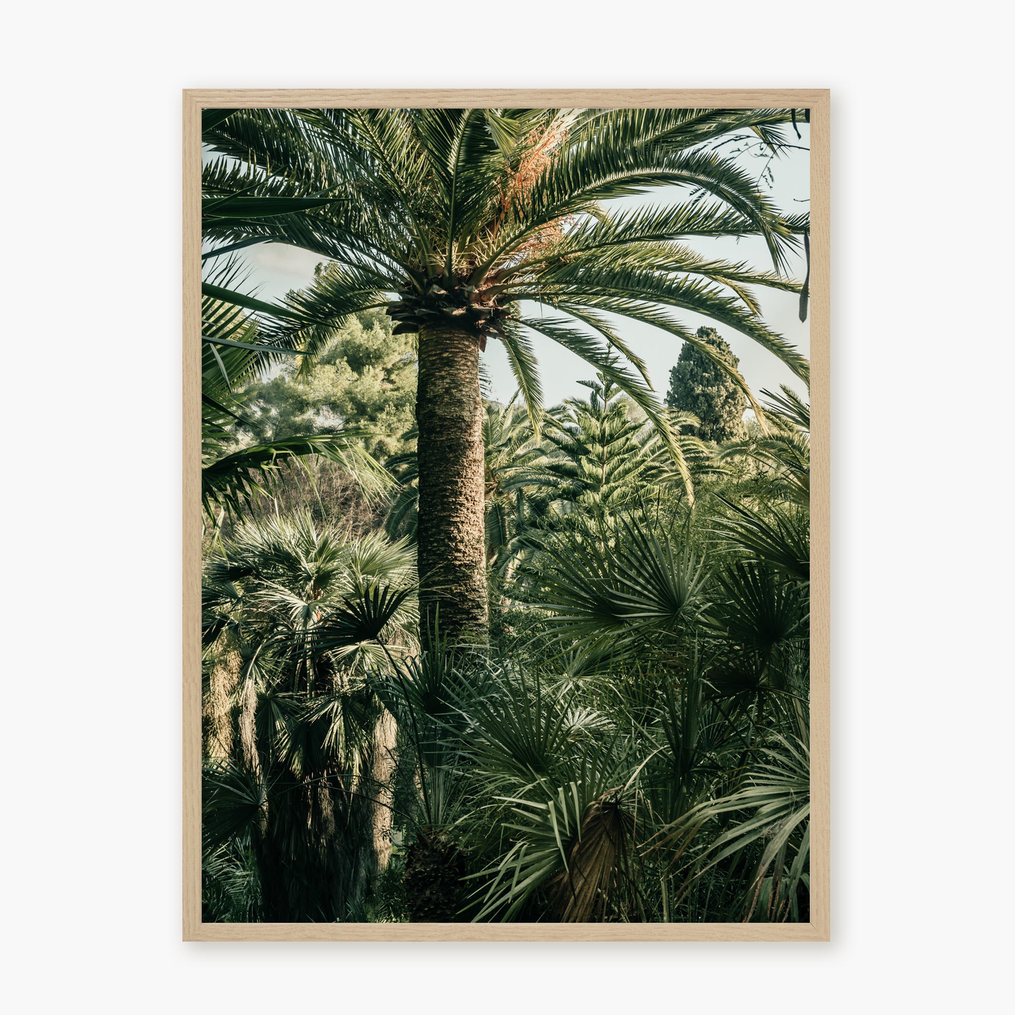 Jardin luxuriant