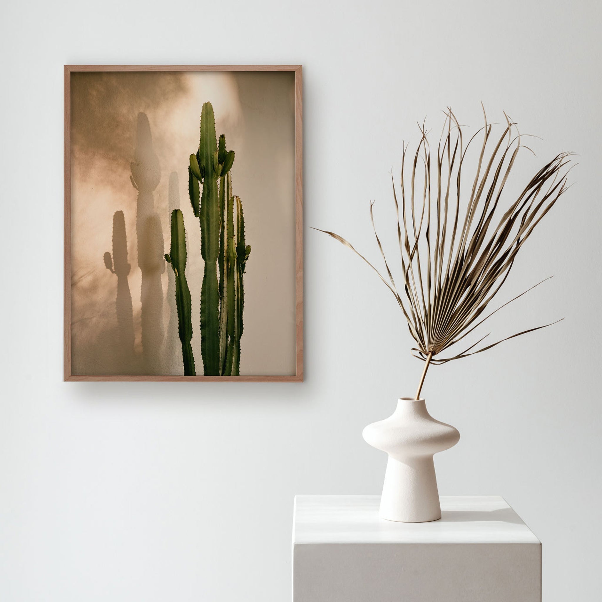 Cactus Shadow