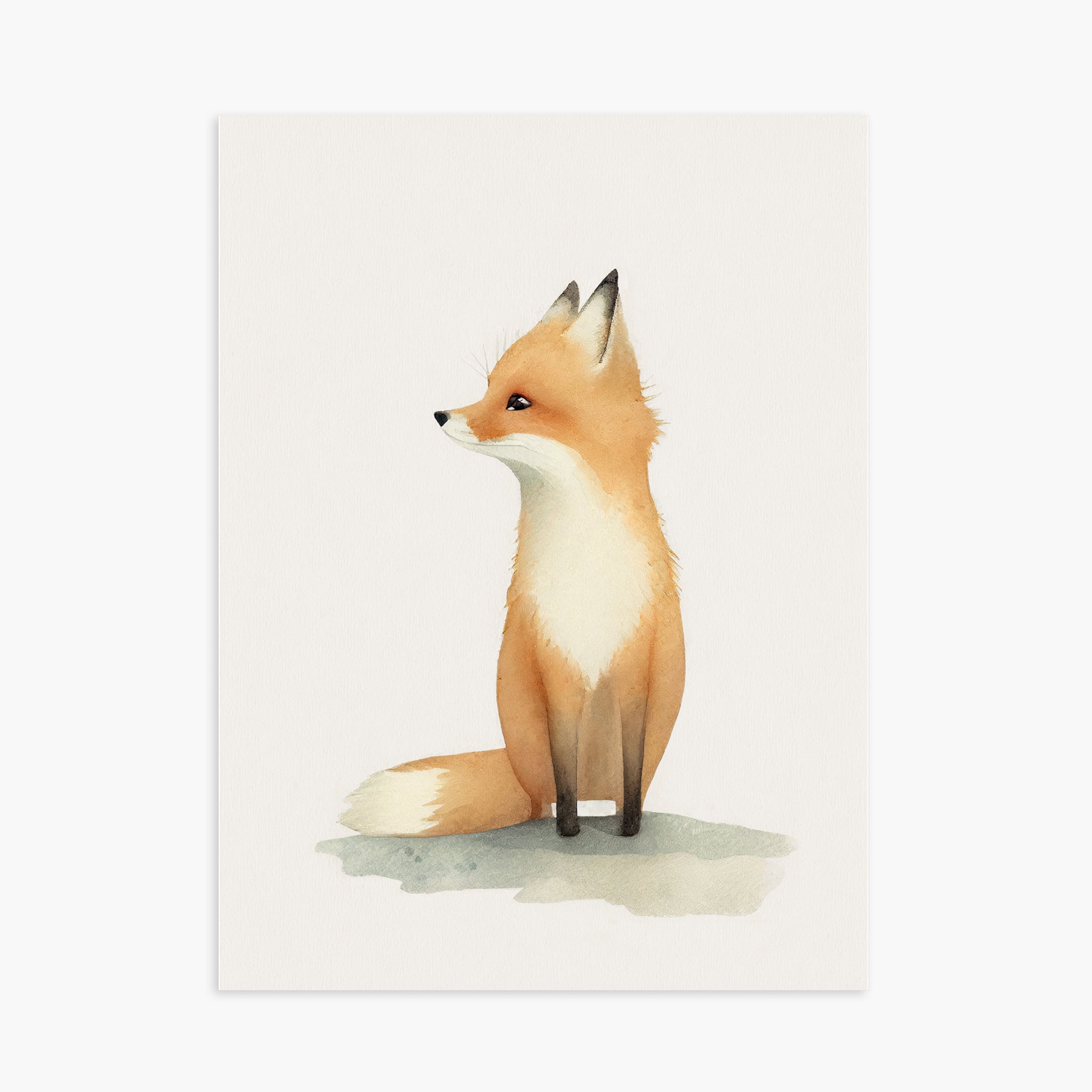 Baby Fox