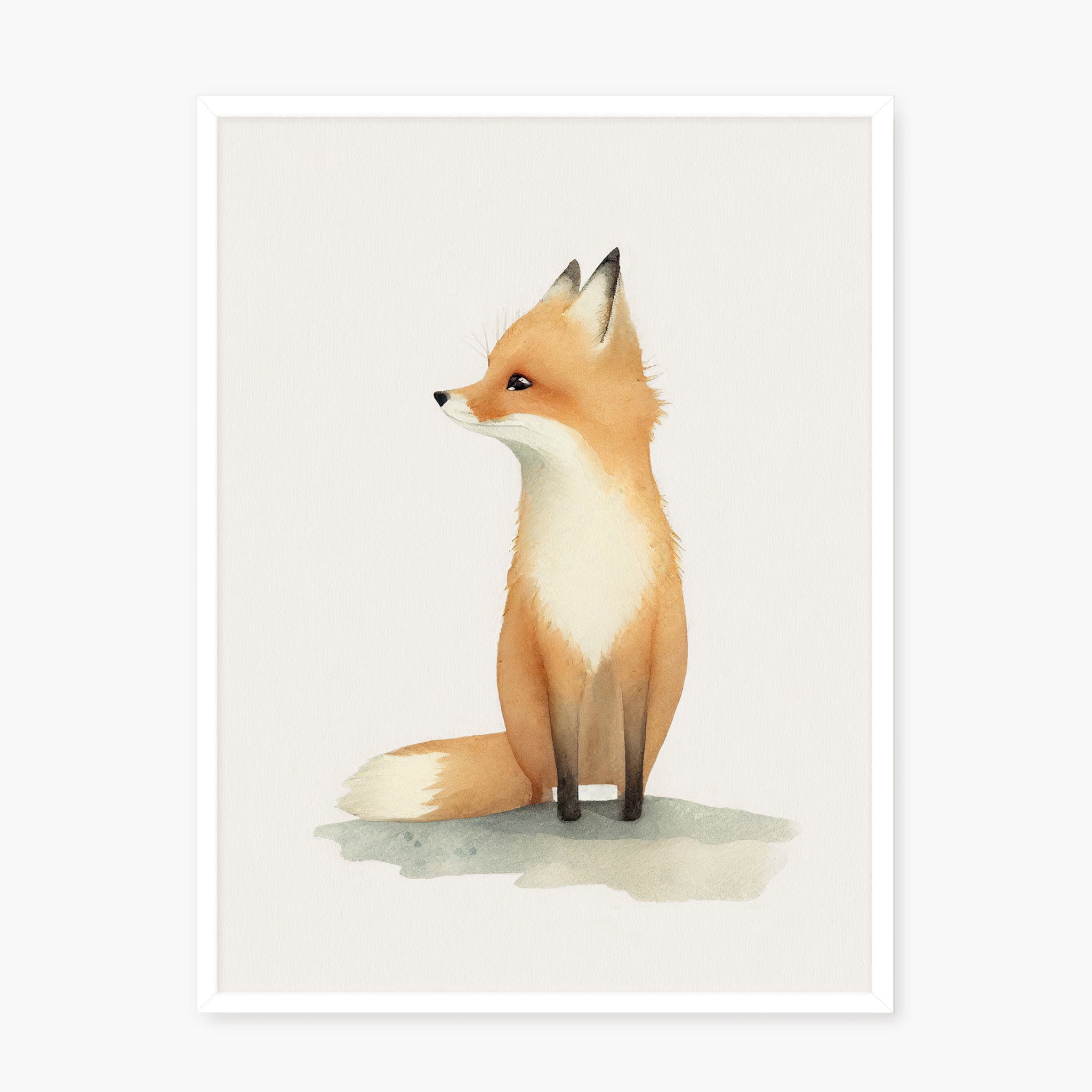 Baby Fox