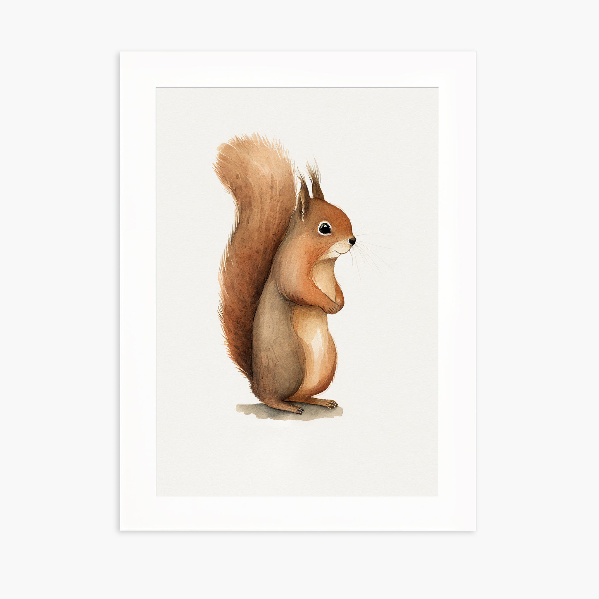 Baby Squirrel