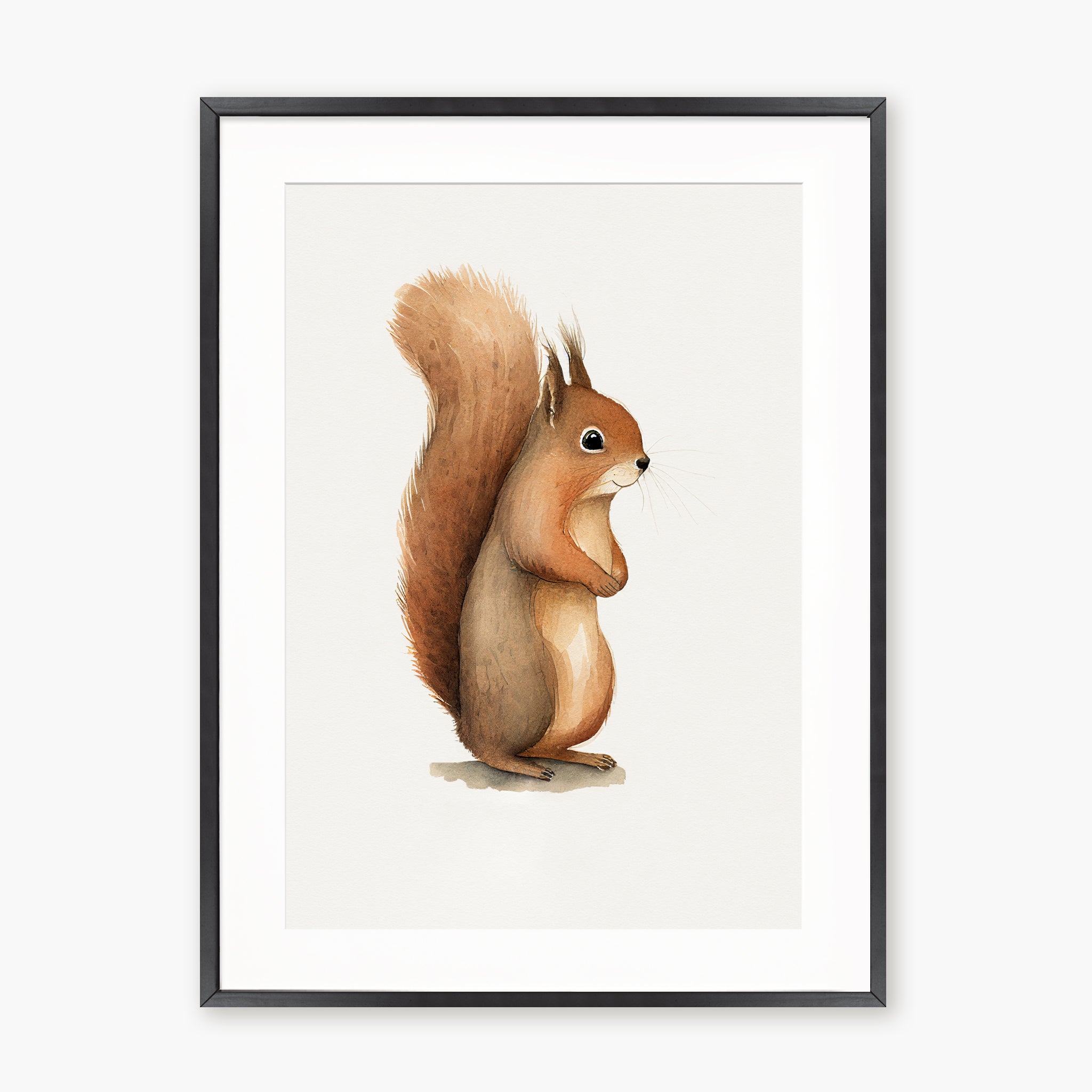 Baby Squirrel