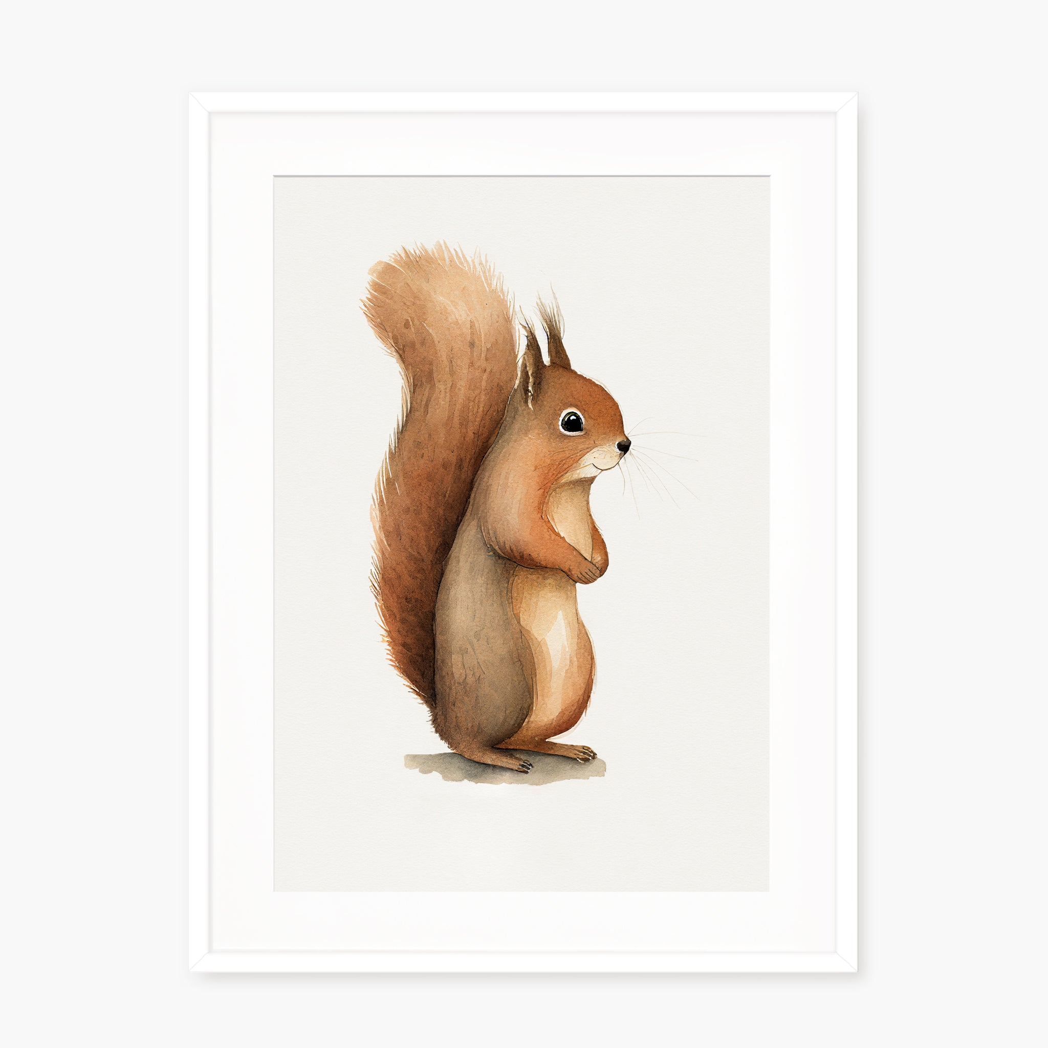 Baby Squirrel