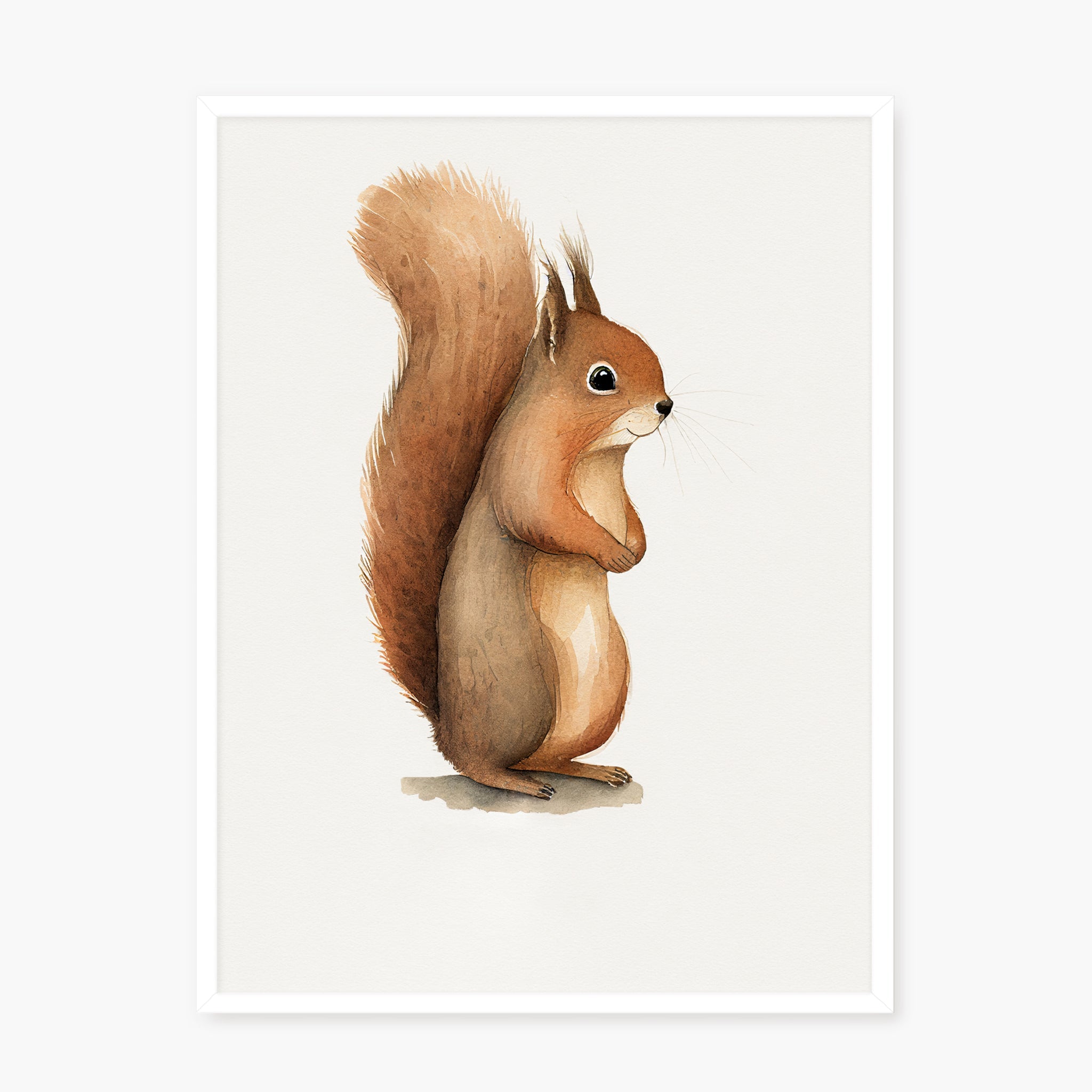 Baby Squirrel