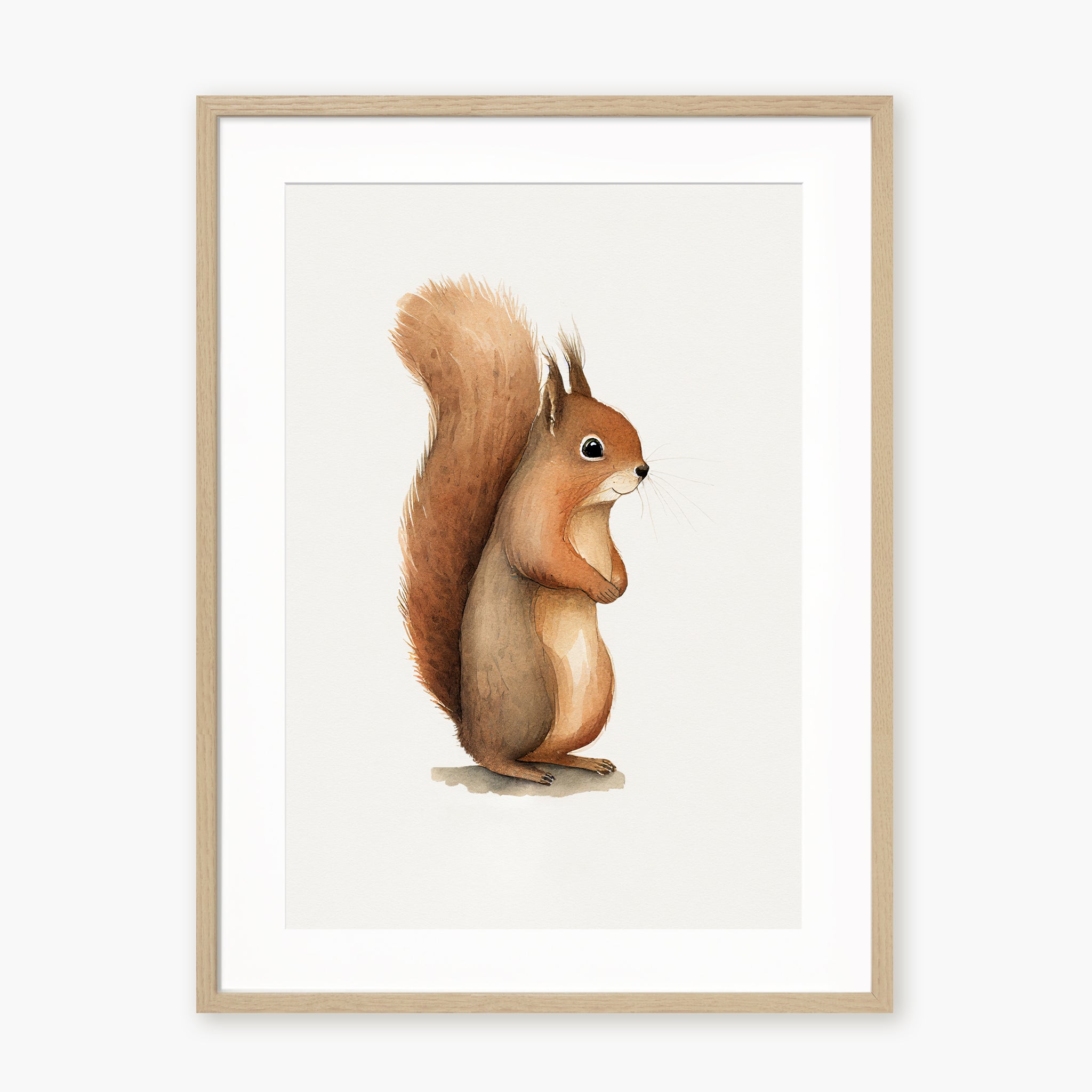Baby Squirrel