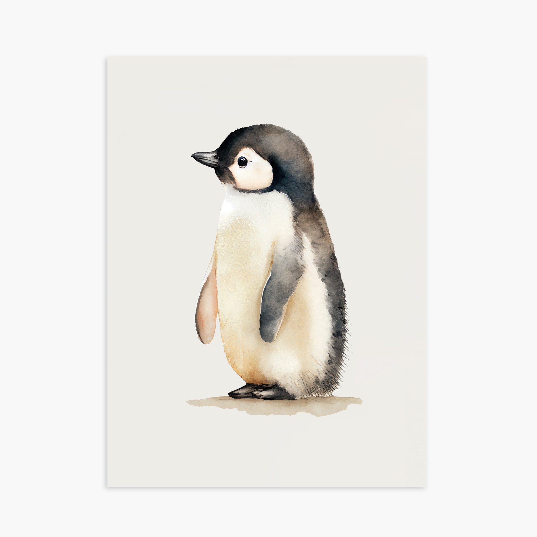 Baby Penguin