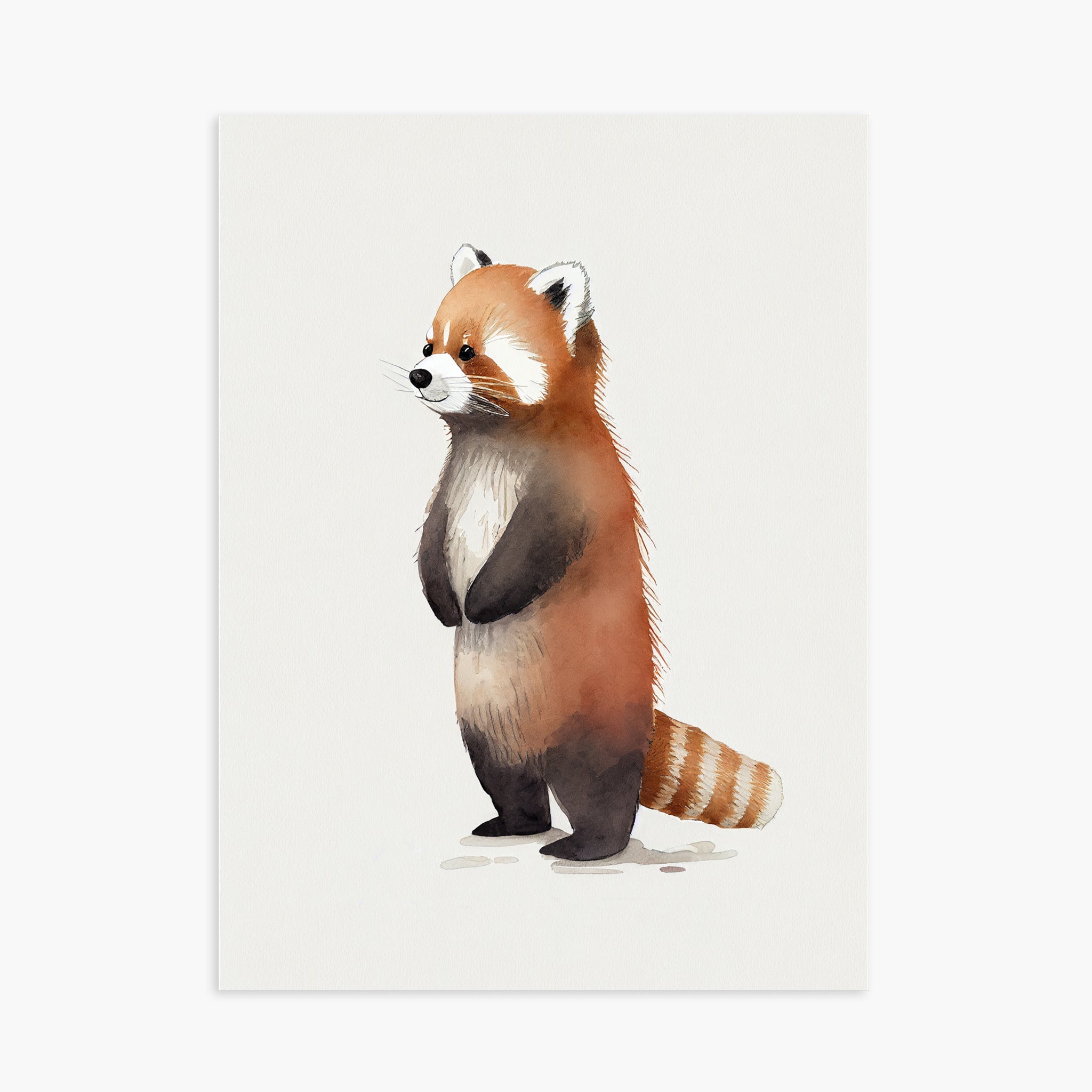Baby Red Panda