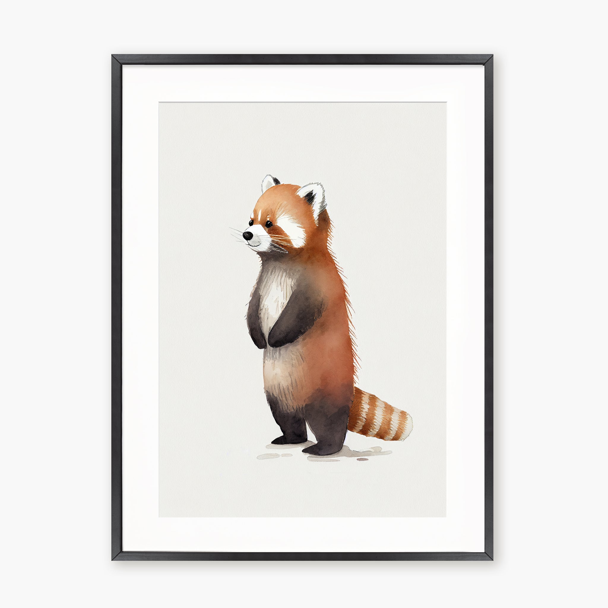 Baby Red Panda