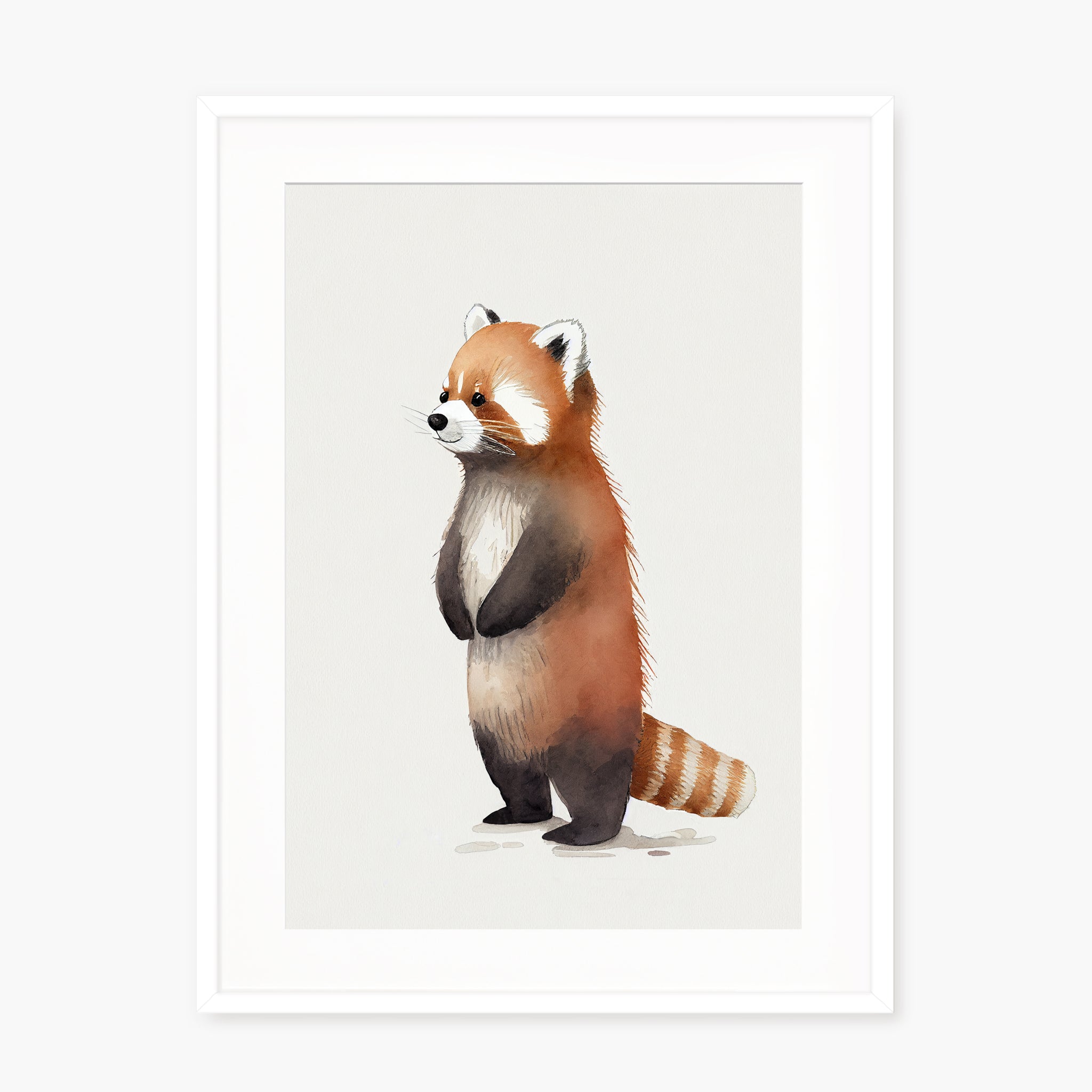 Baby Red Panda