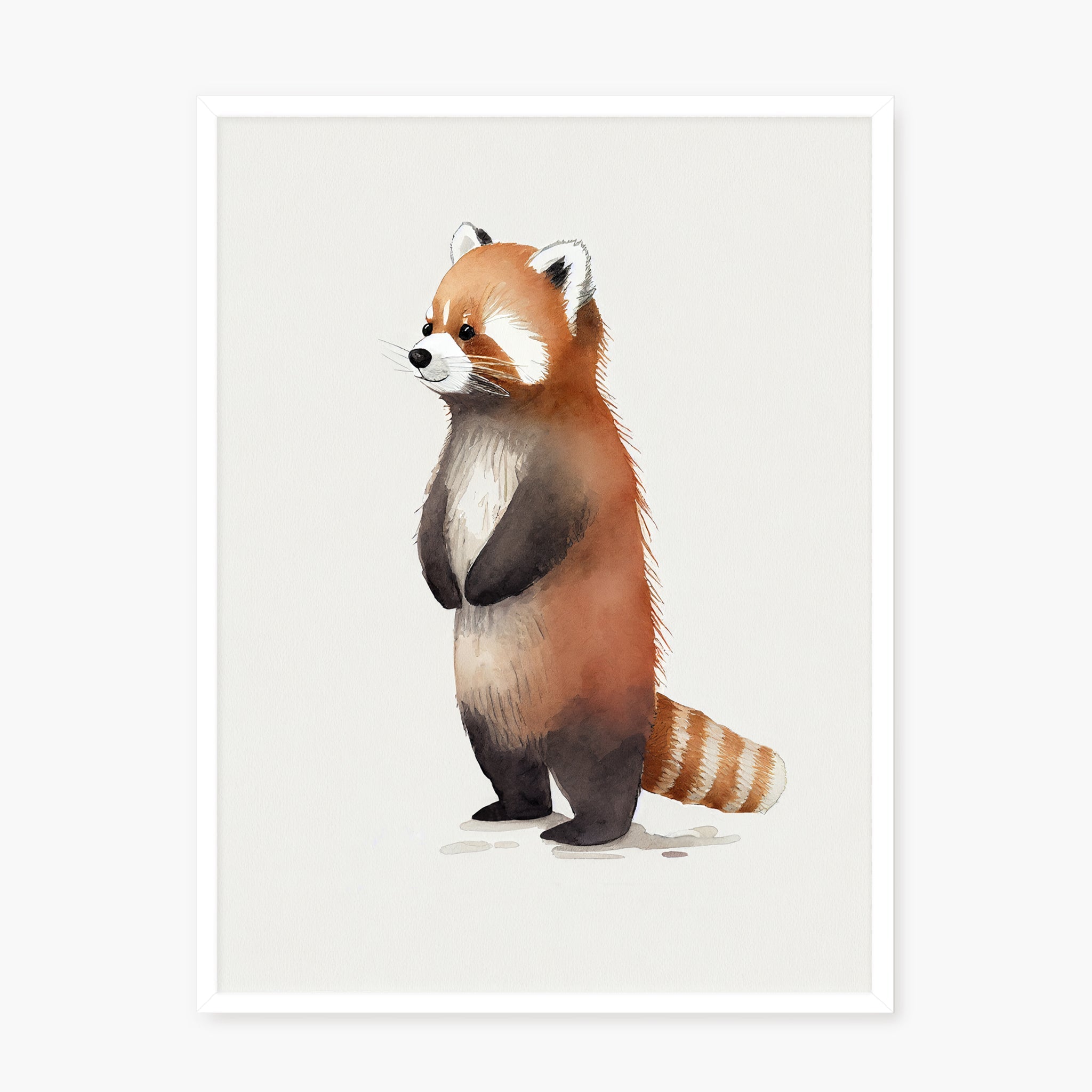 Baby Red Panda