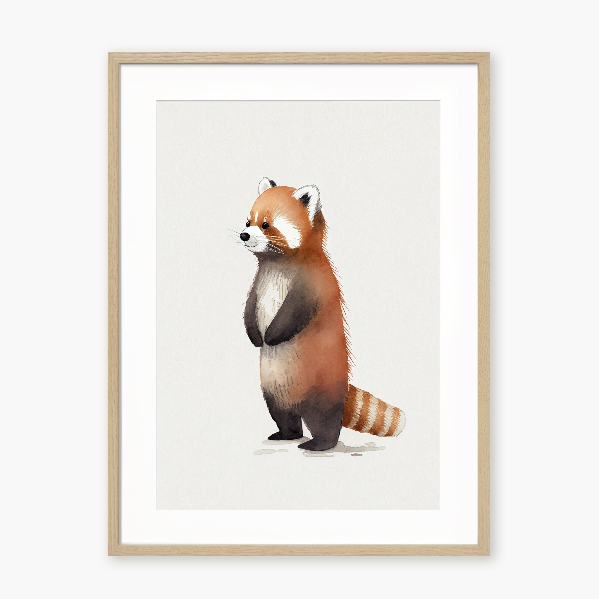 Baby Red Panda