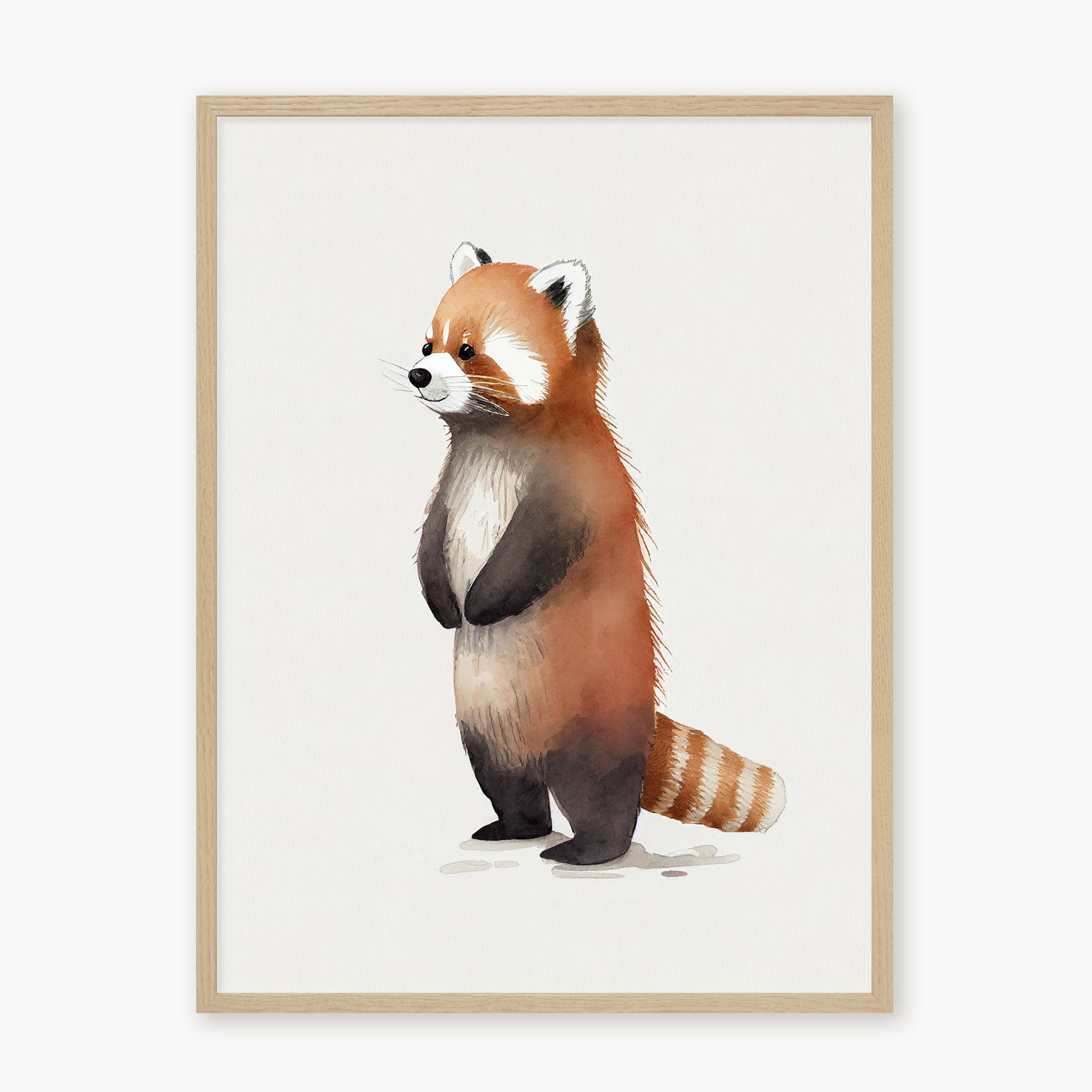 Baby Red Panda