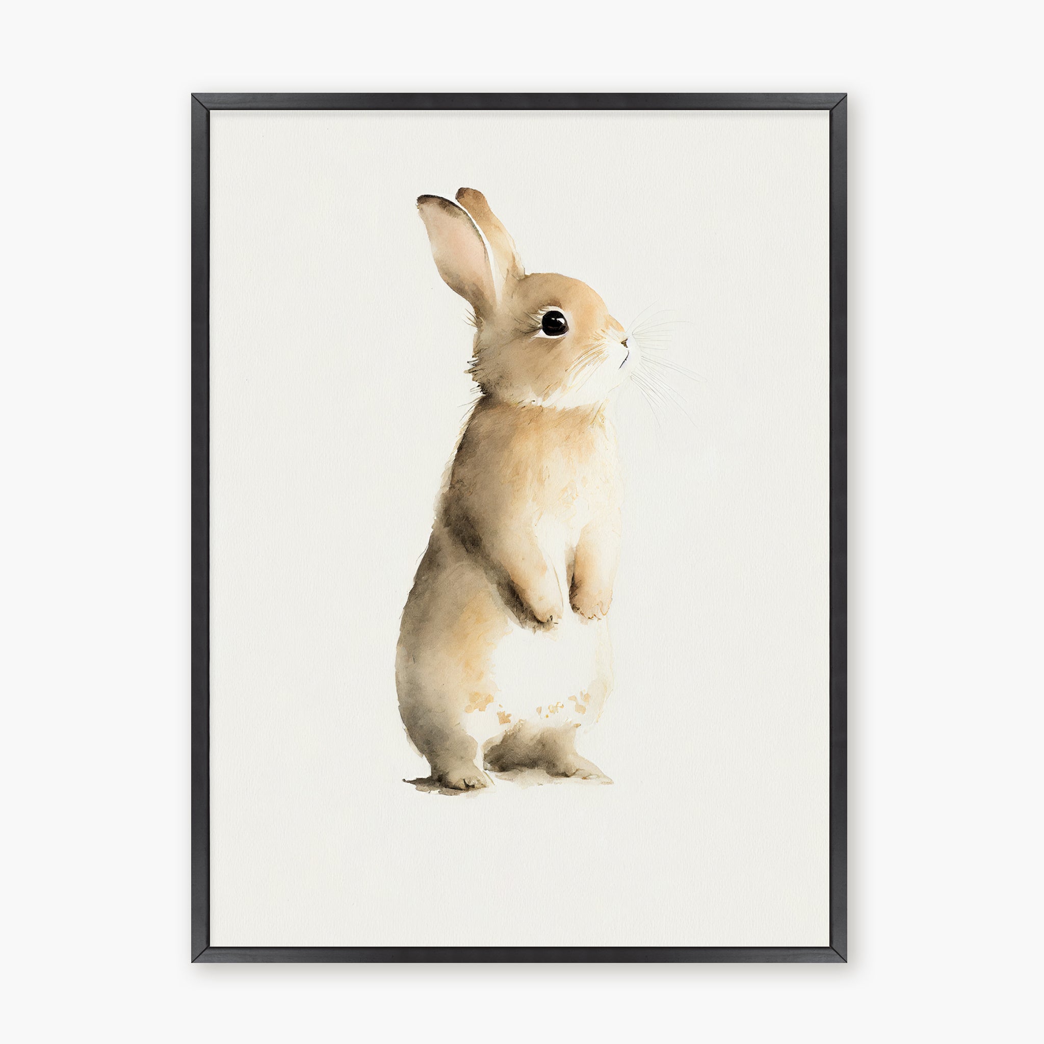 Baby Rabbit