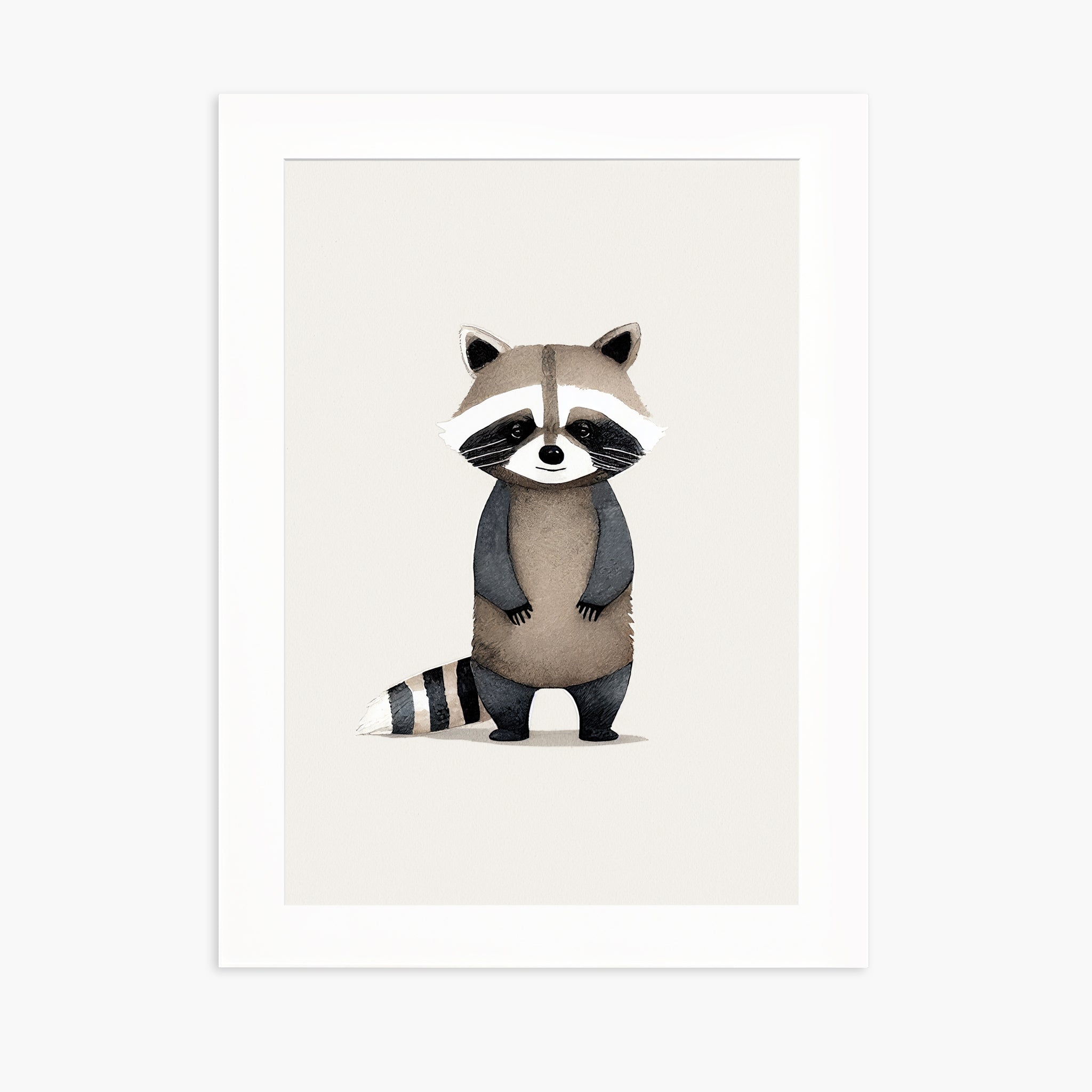 Baby Raccoon