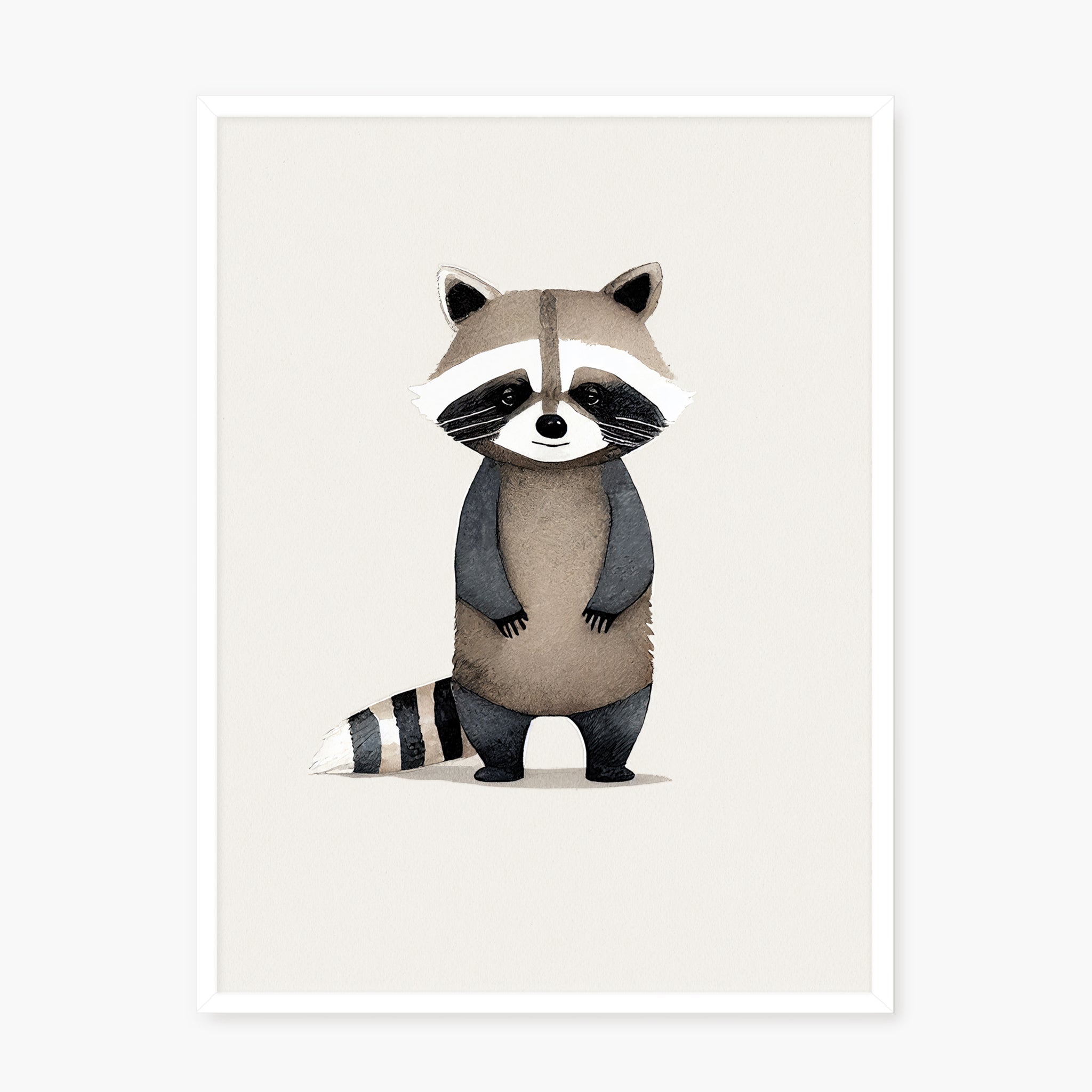 Baby Raccoon