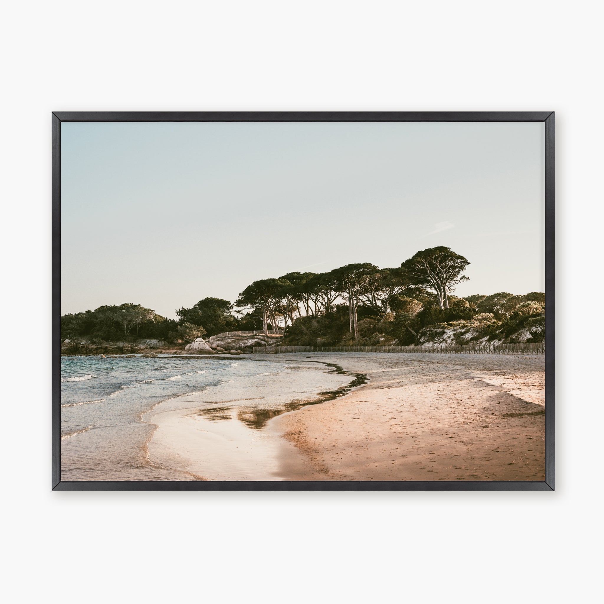 Palombaggia beach