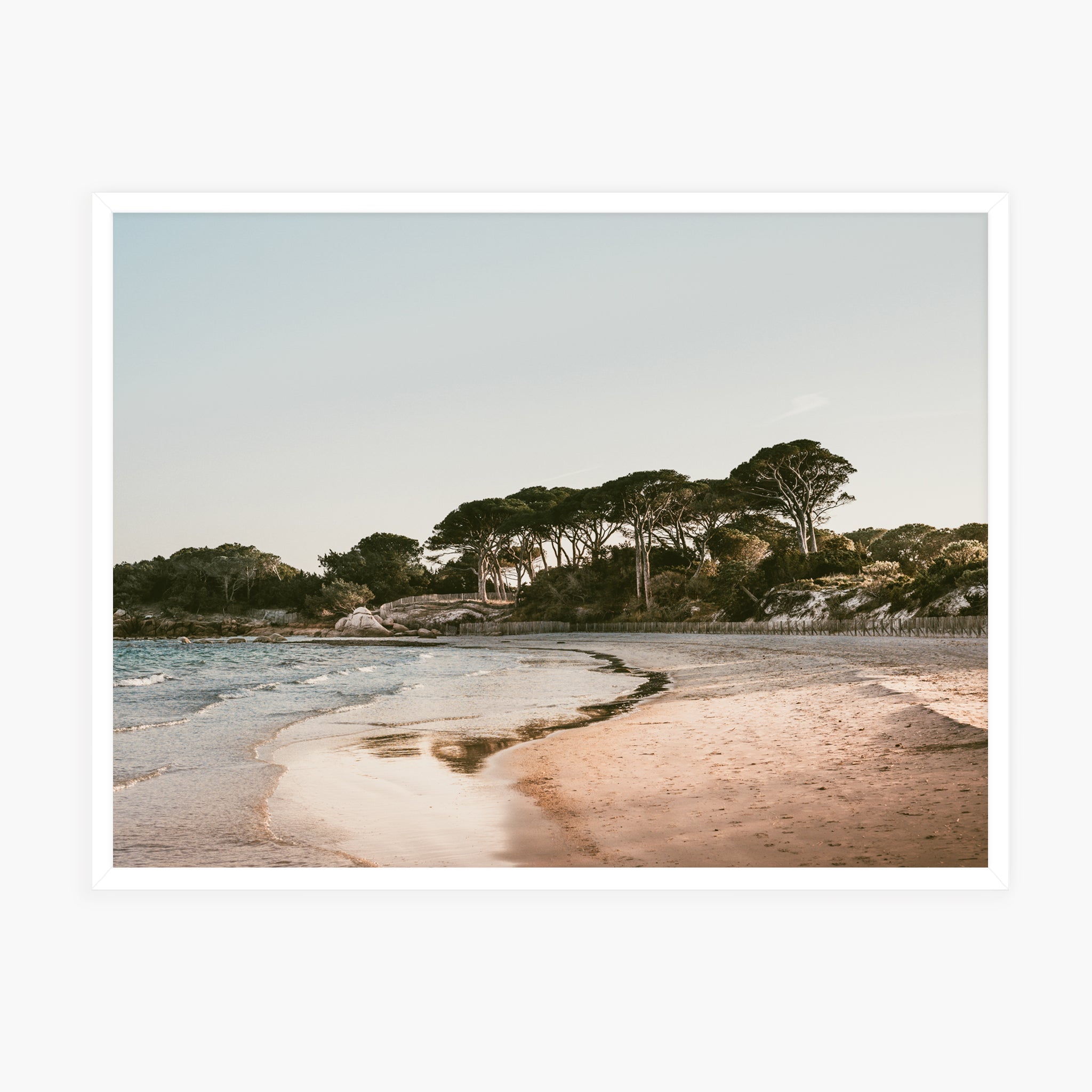 Palombaggia beach