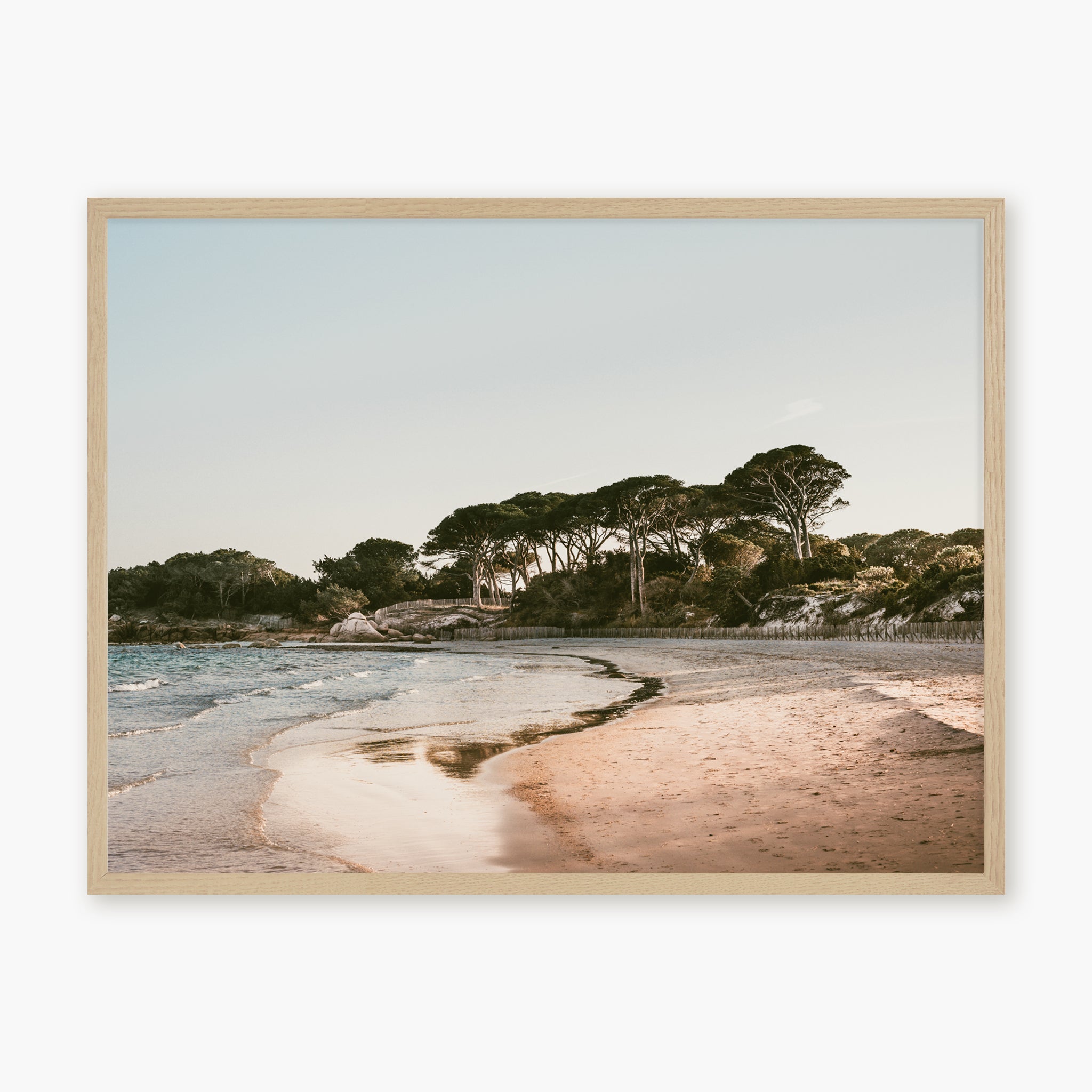 Palombaggia beach