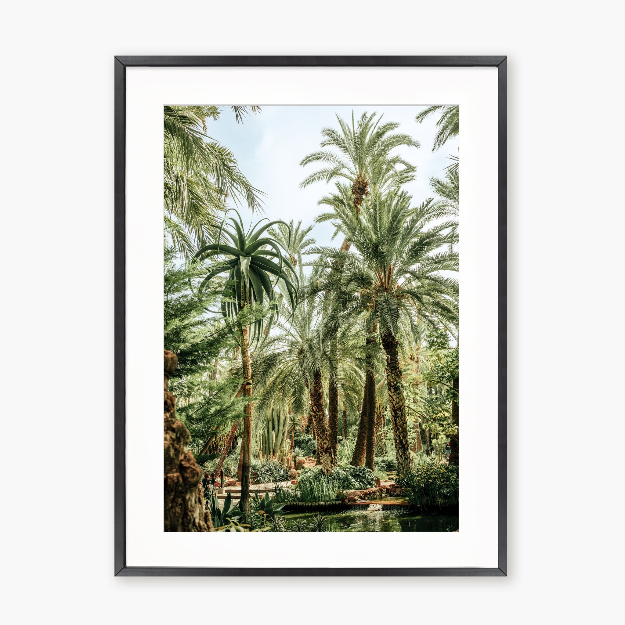 Elche Jungle