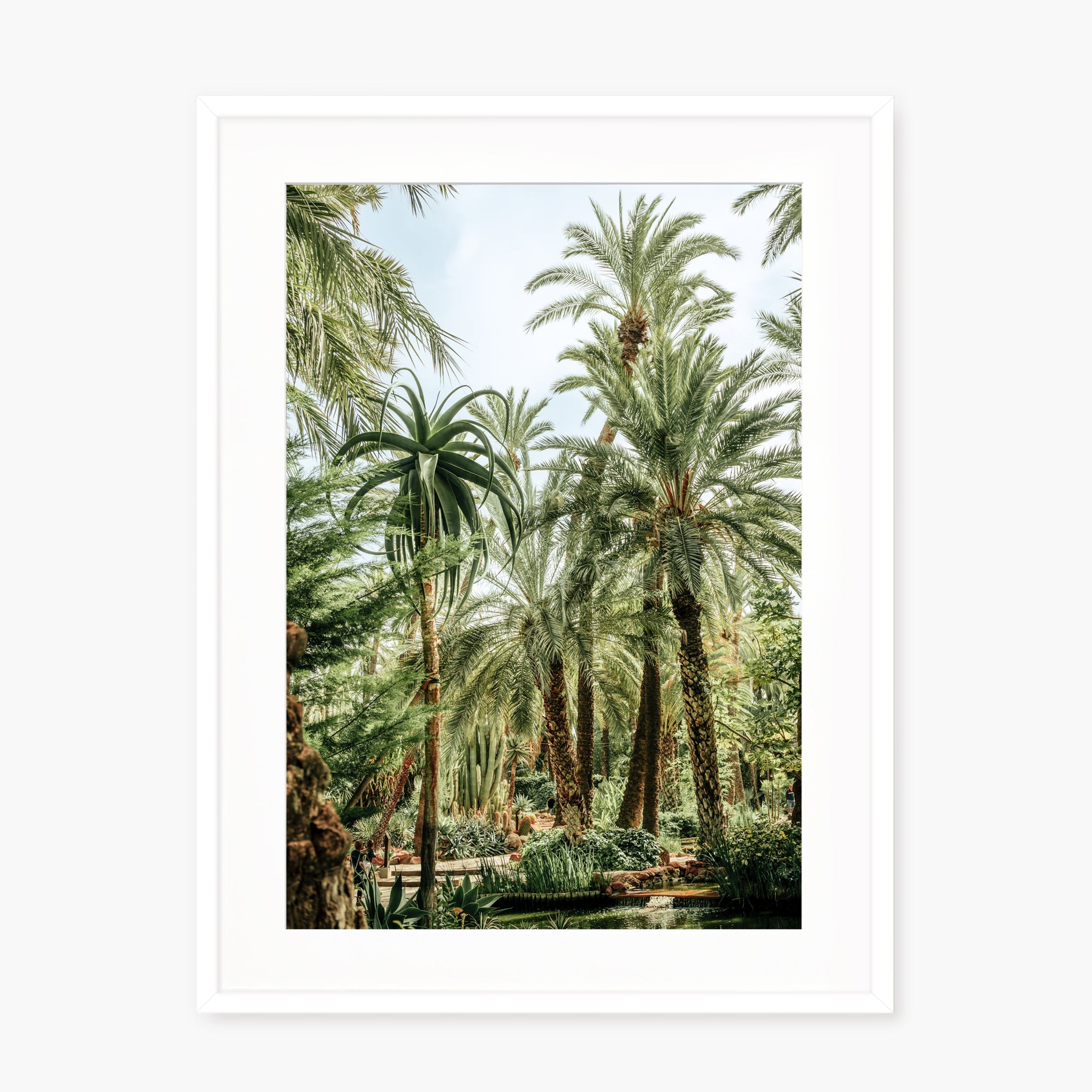 Elche Jungle