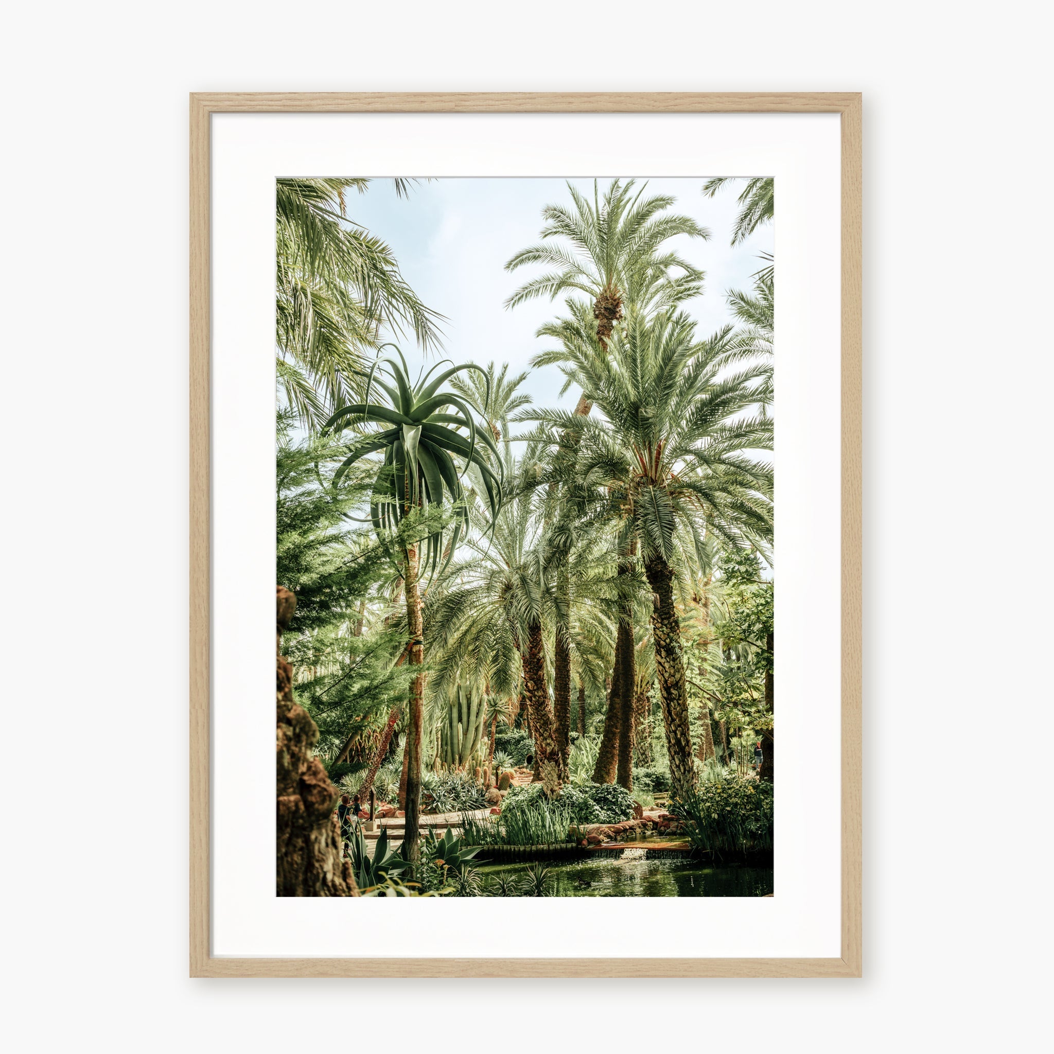 Elche Jungle
