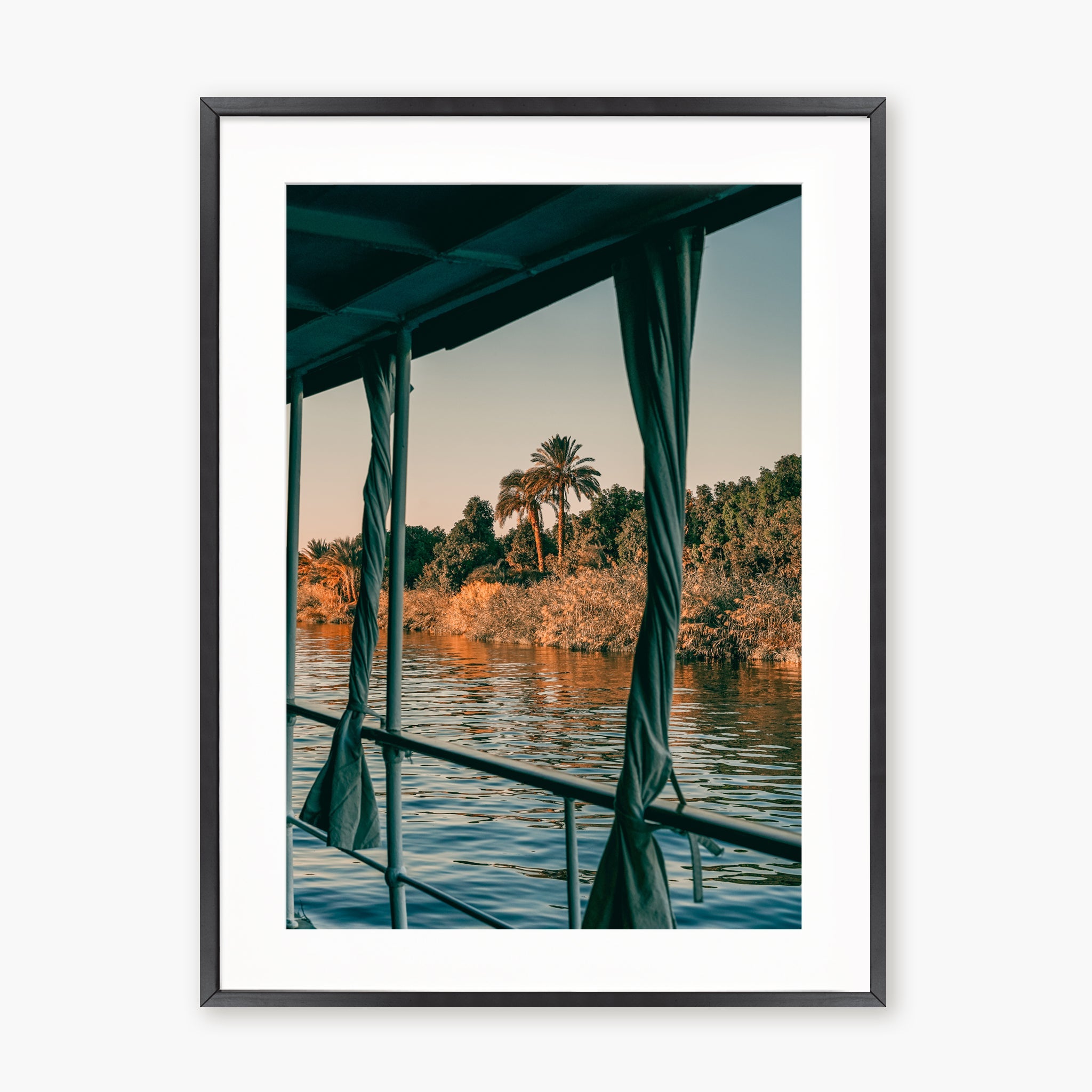 Nile Palms