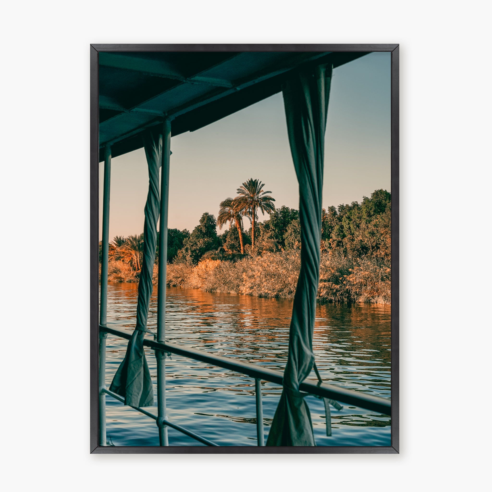 Nile Palms