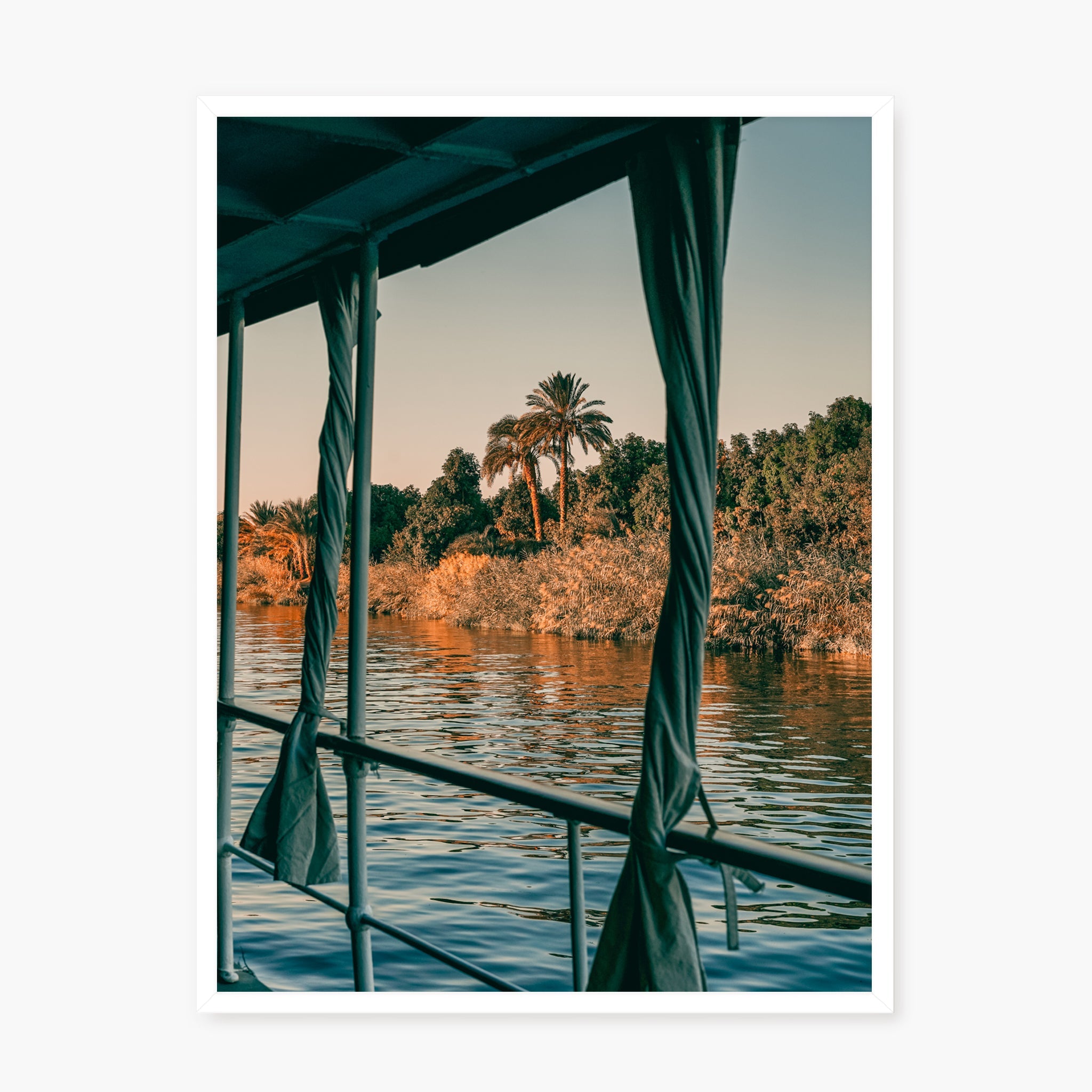 Nile Palms