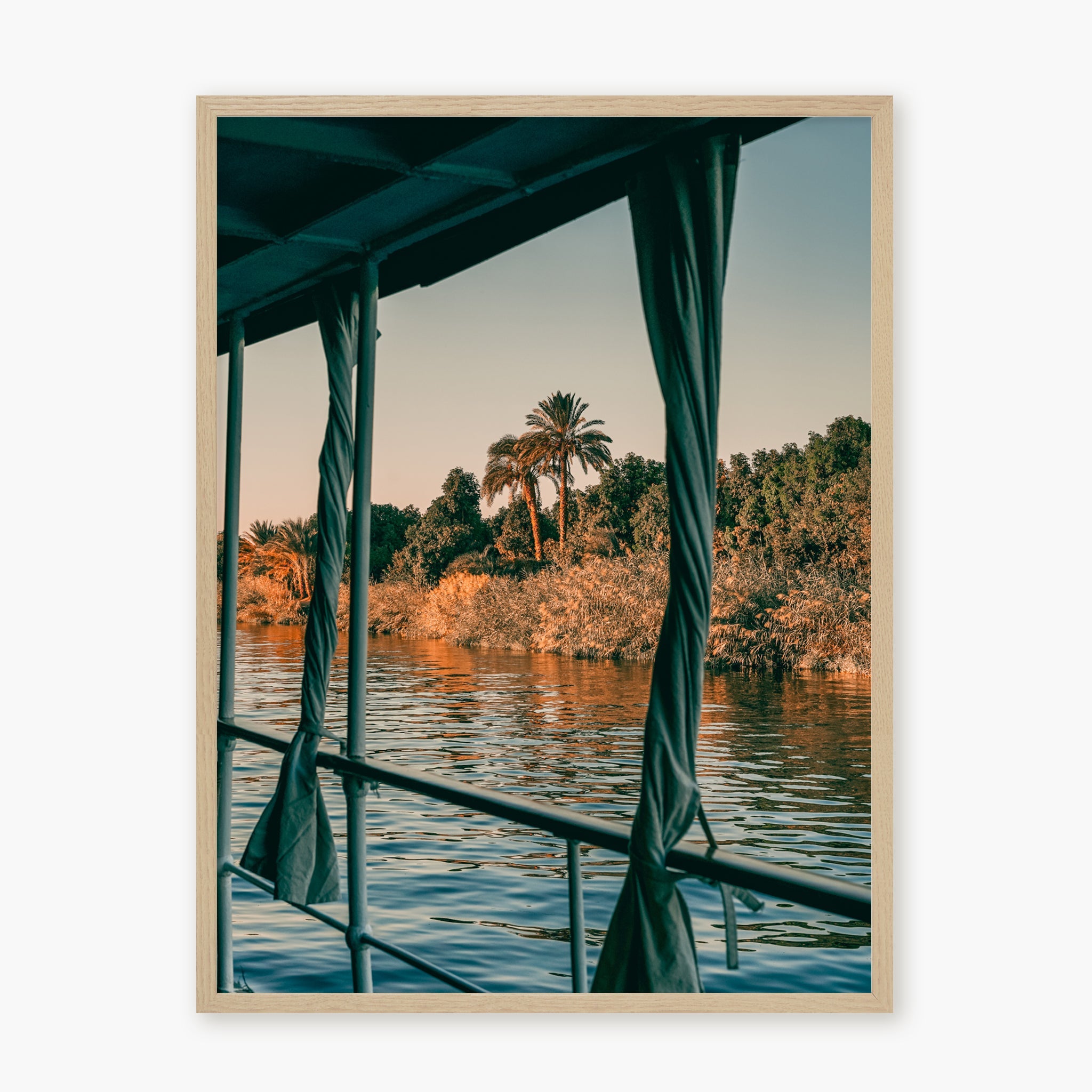 Nile Palms