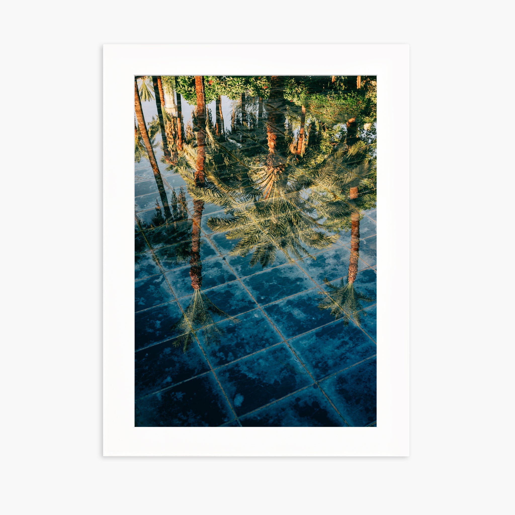 The Pool of the Winter Palace