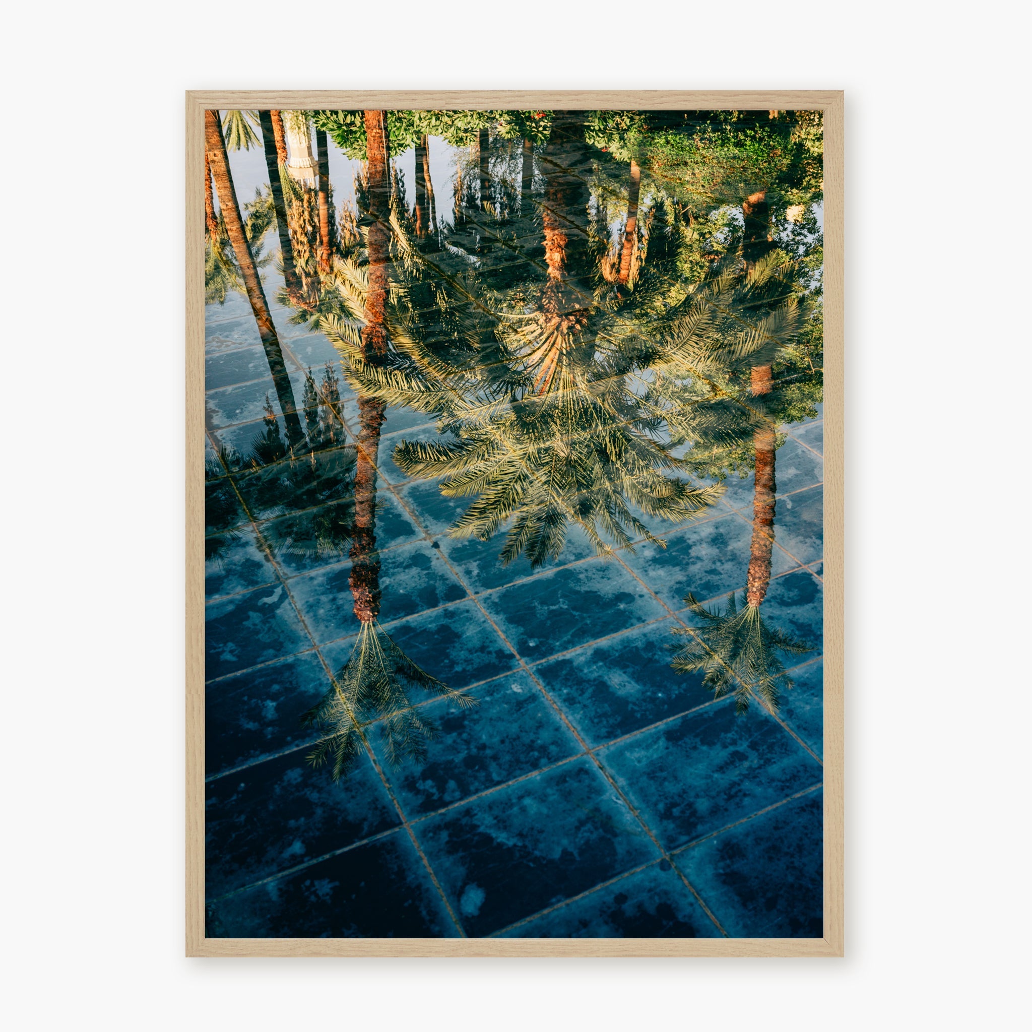The Pool of the Winter Palace