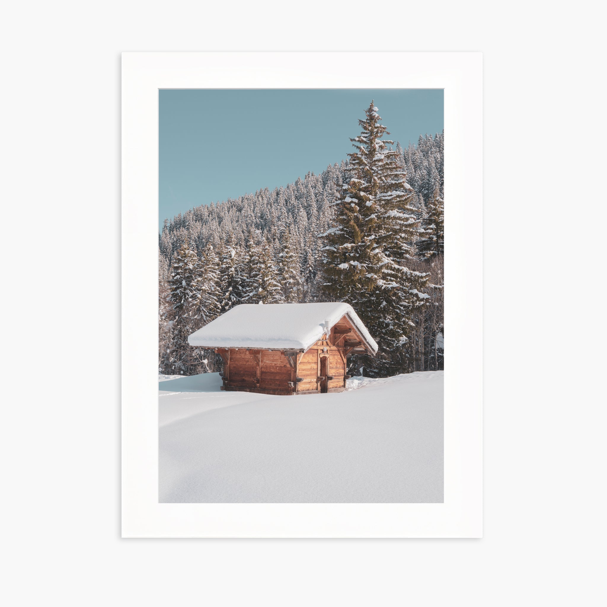 White Paradise