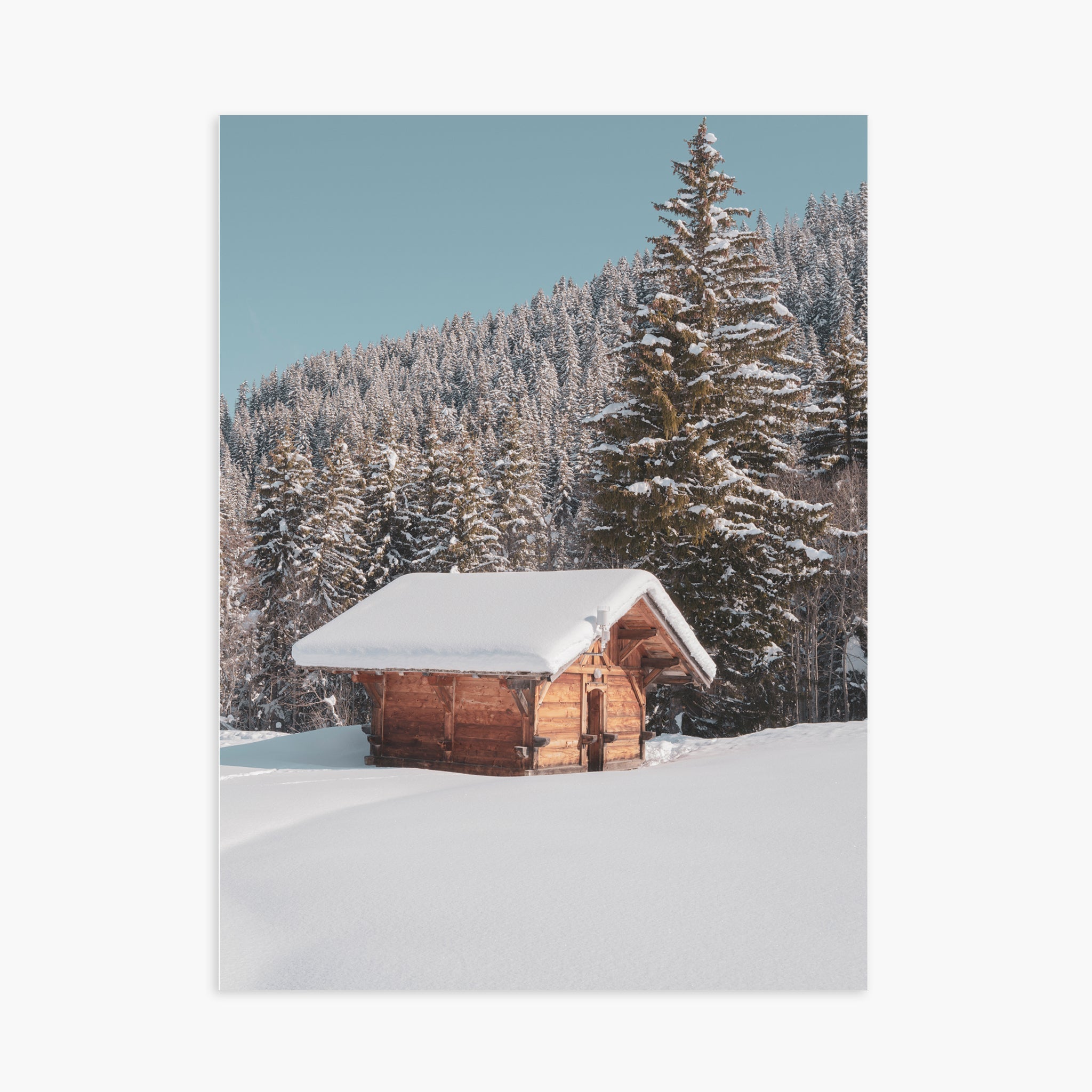 White Paradise