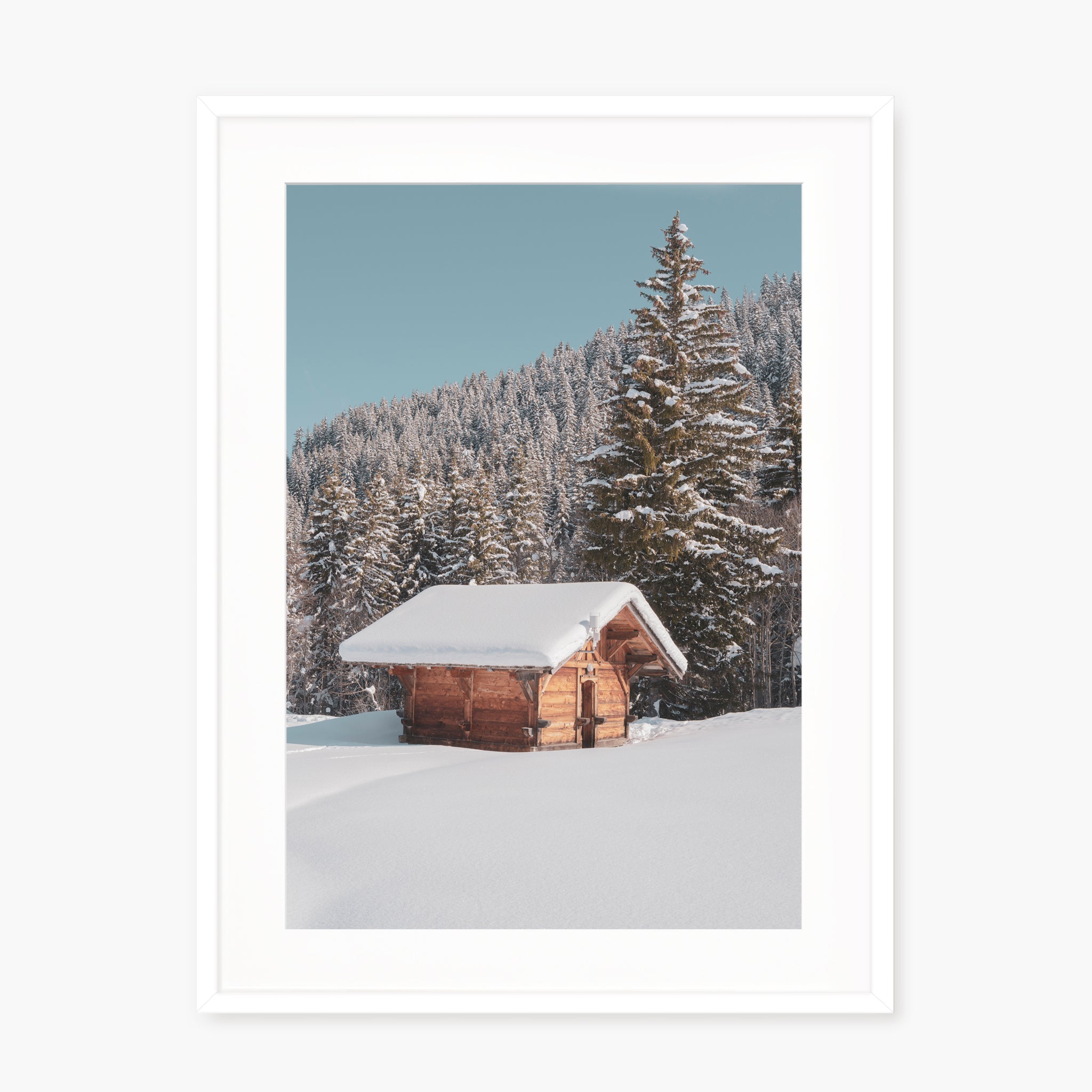 White Paradise