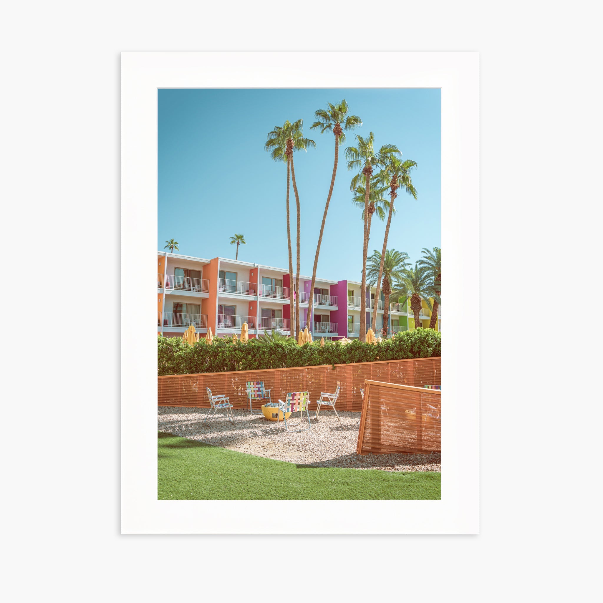 The Saguaro Garden