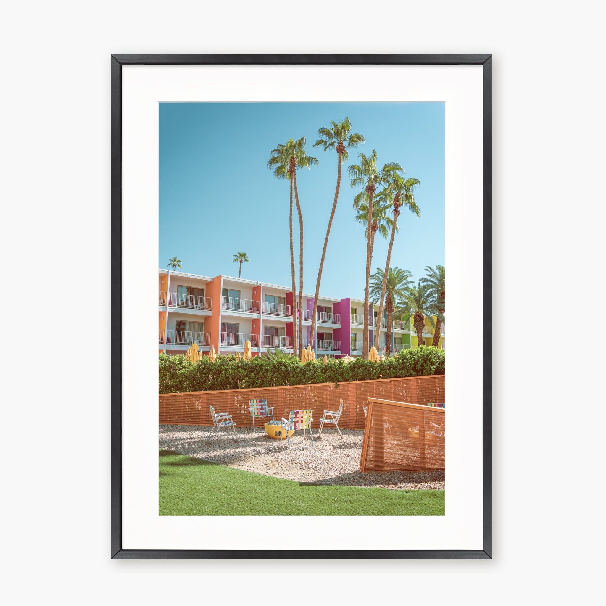 The Saguaro Garden