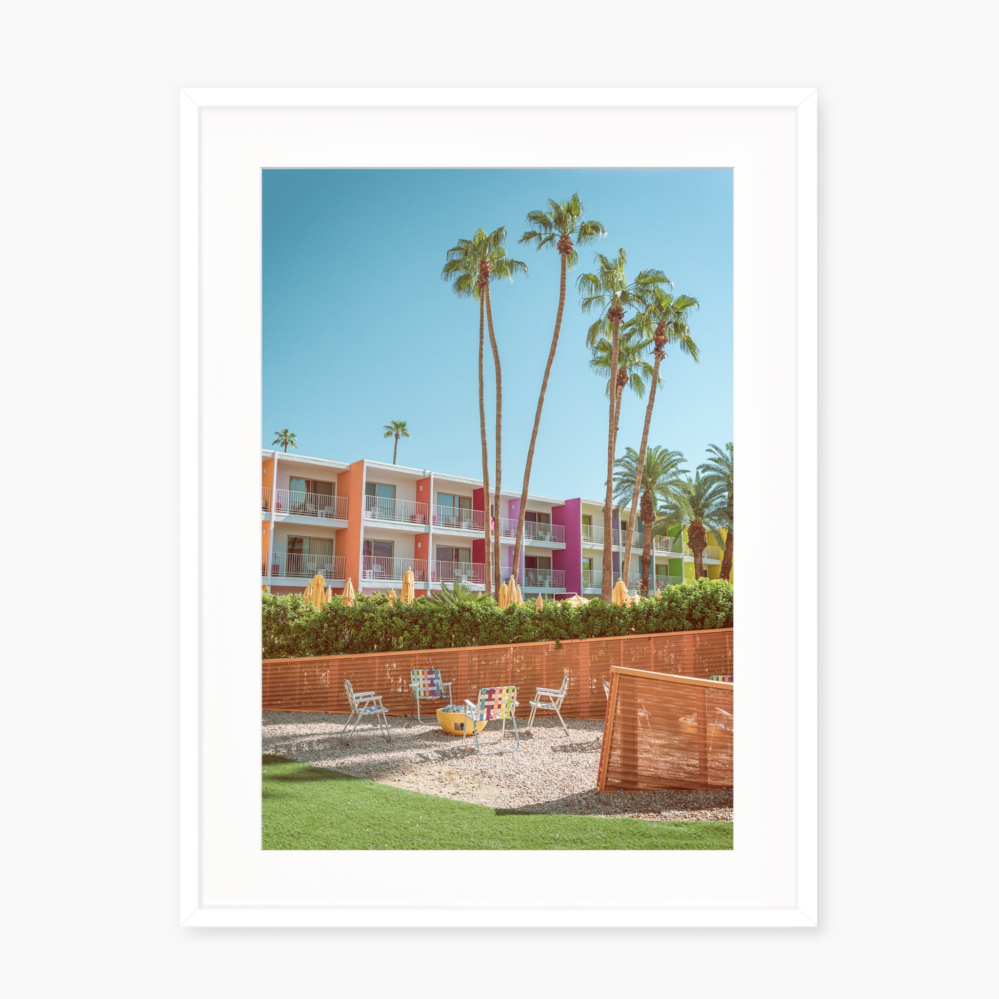 The Saguaro Garden