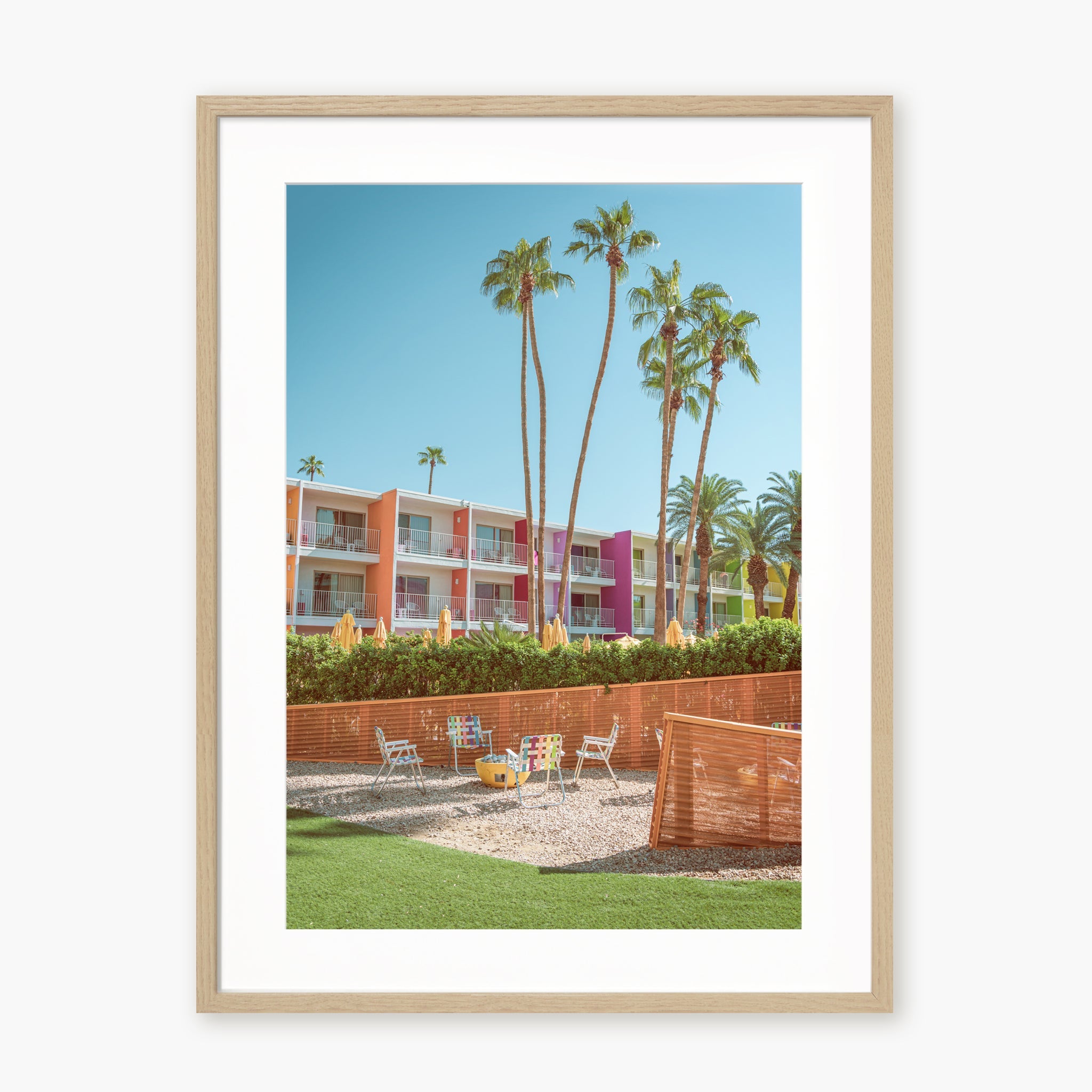 The Saguaro Garden