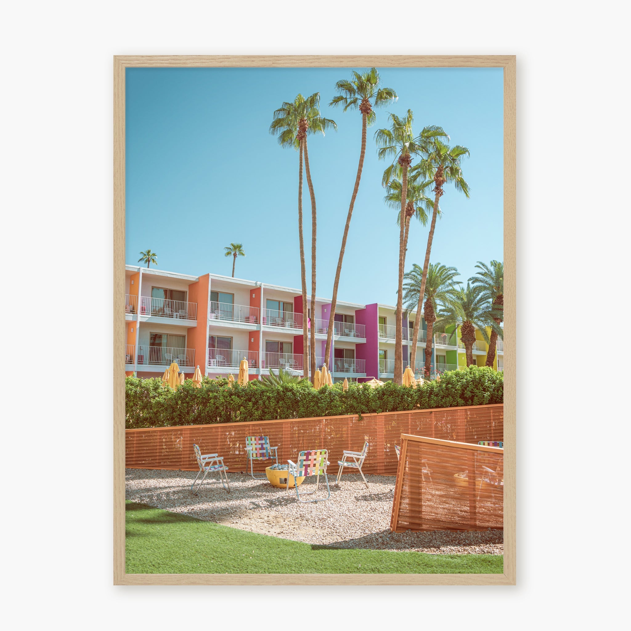 The Saguaro Garden