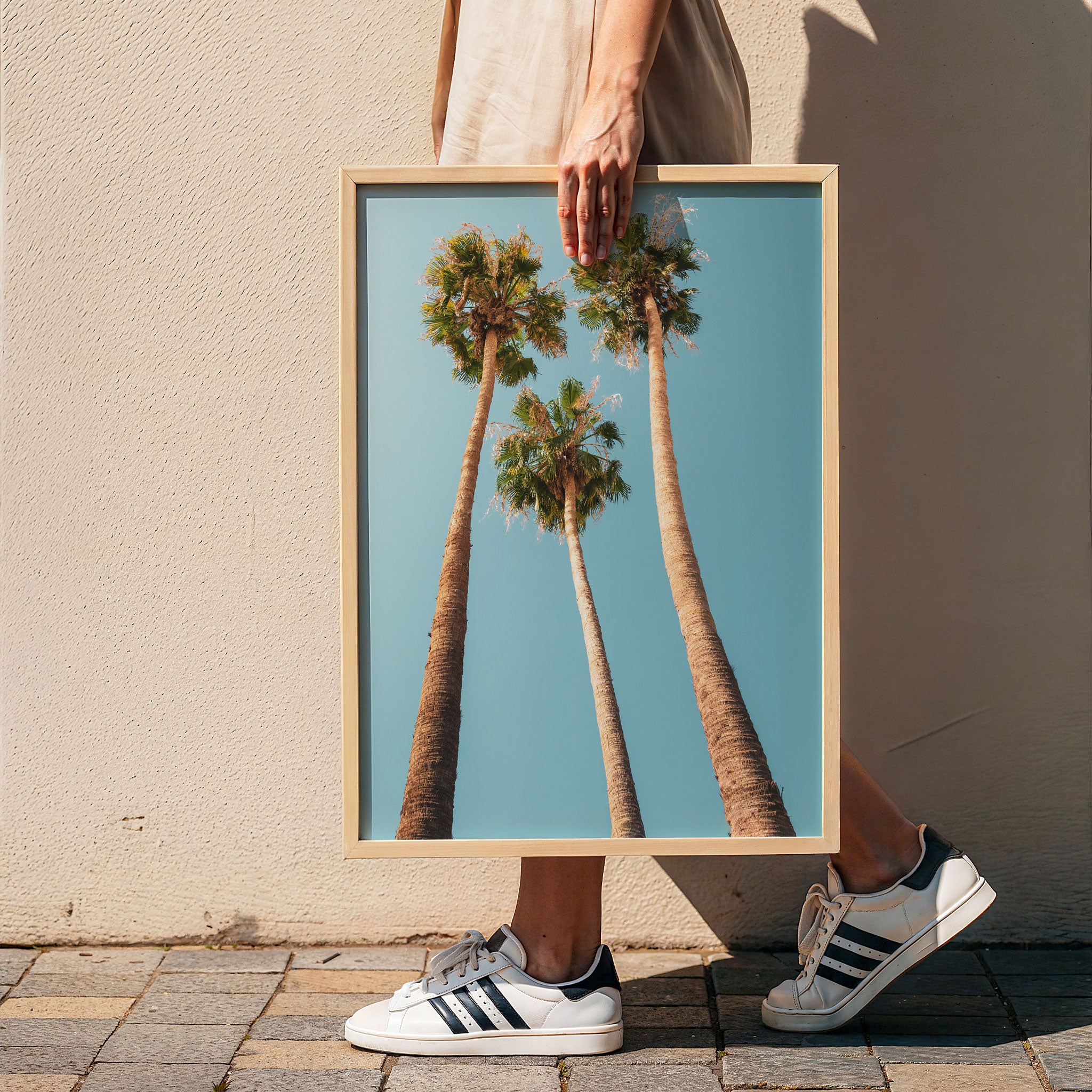 Under the Palms