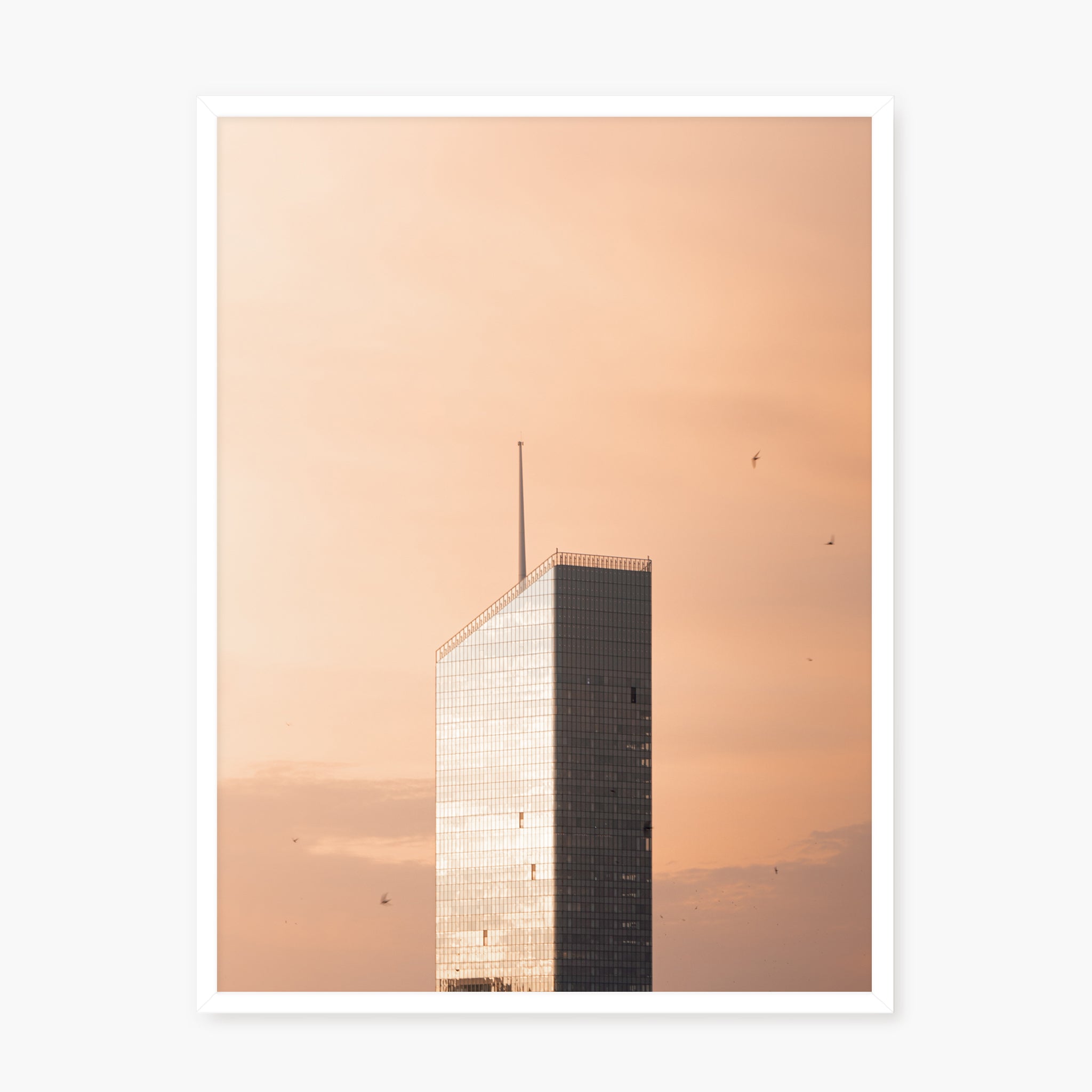 Sunset in Town