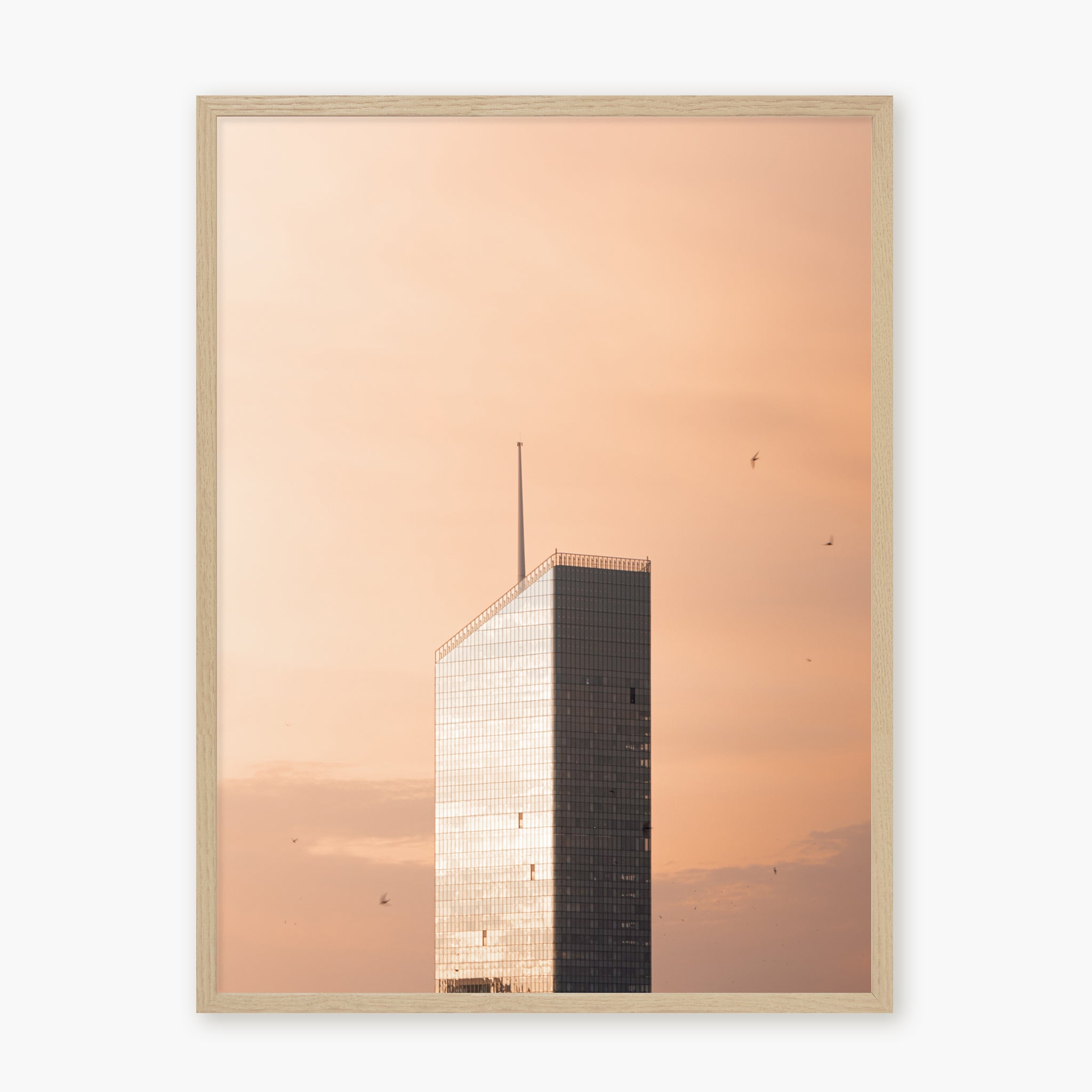 Sunset in Town