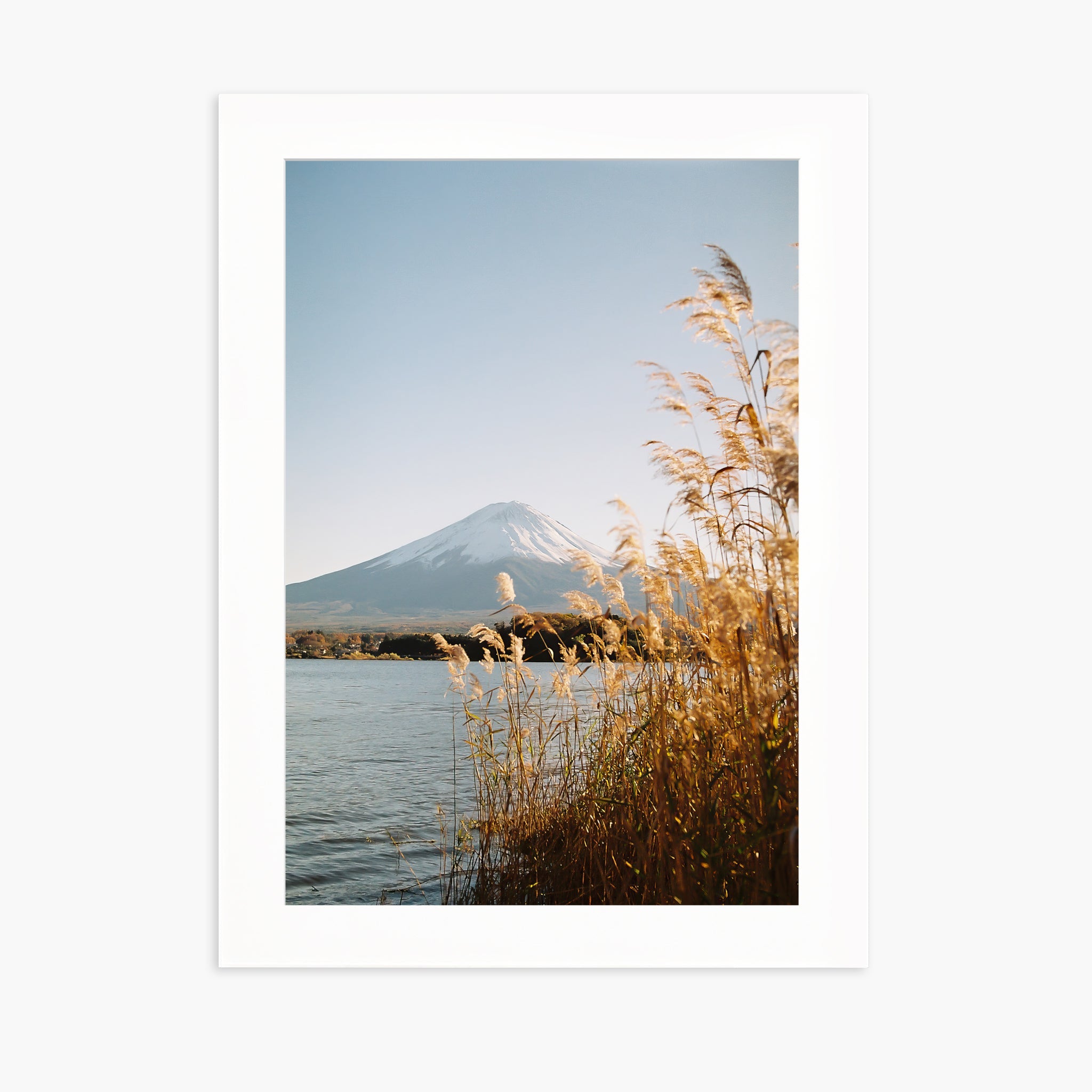 Fuji-San