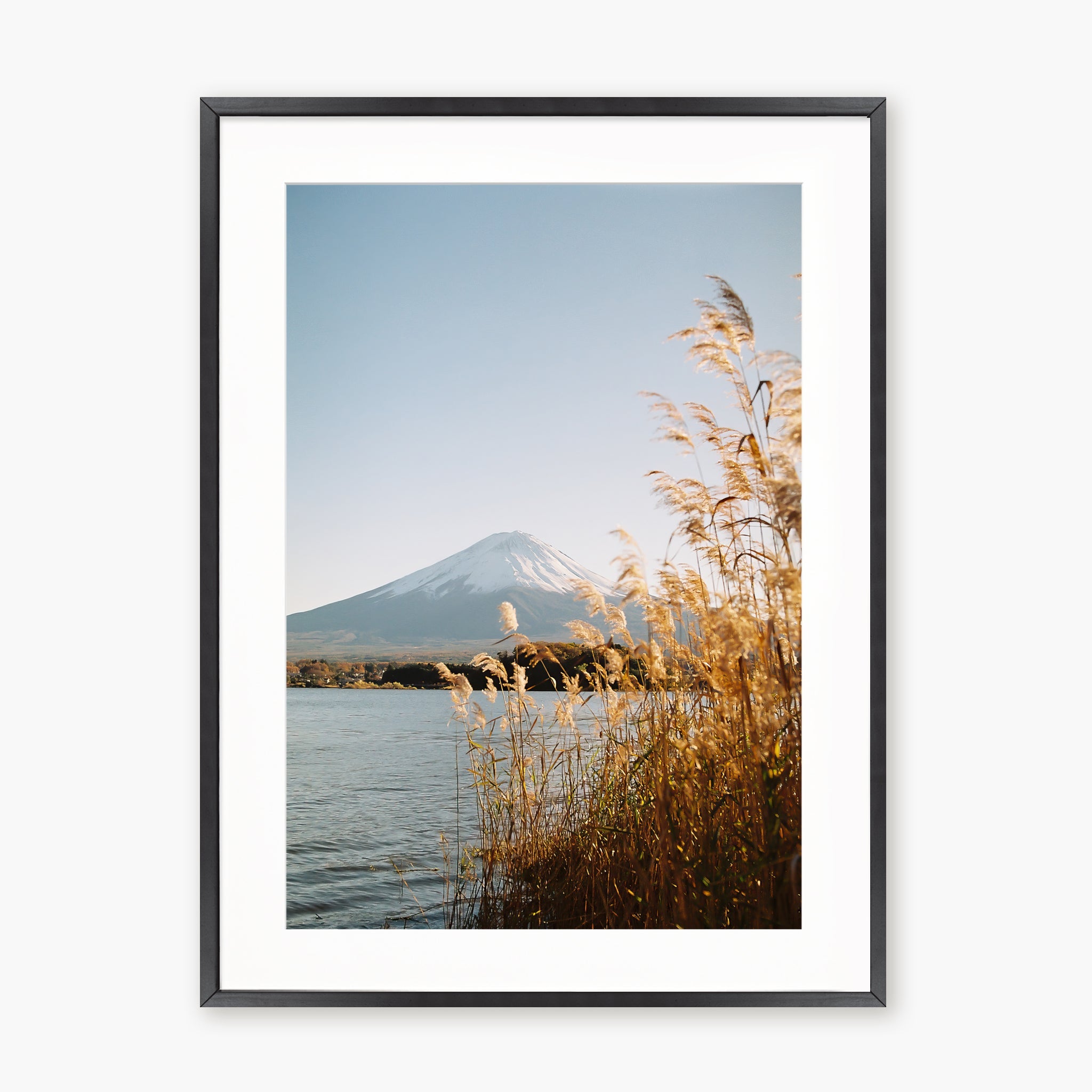 Fuji-San