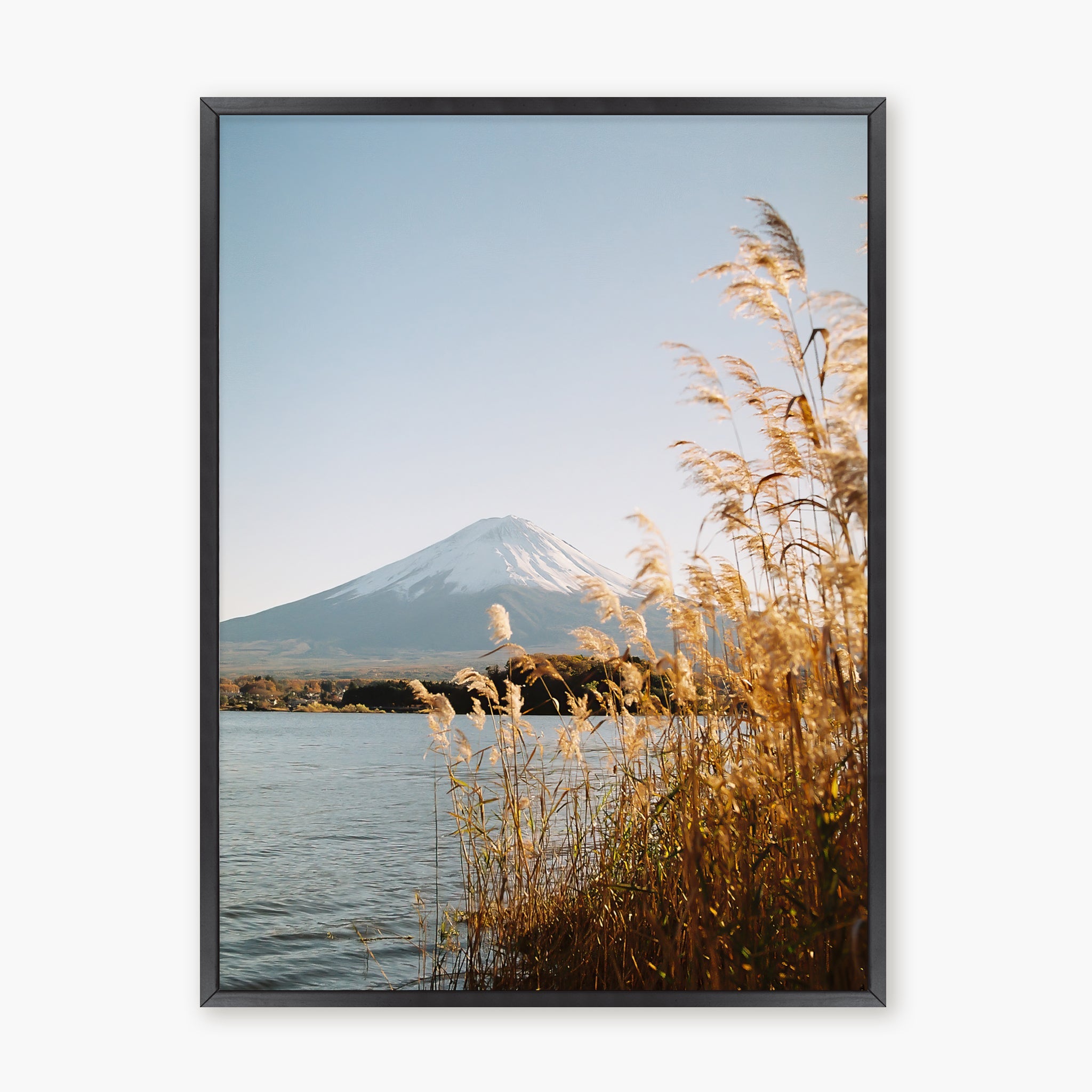Fuji-San